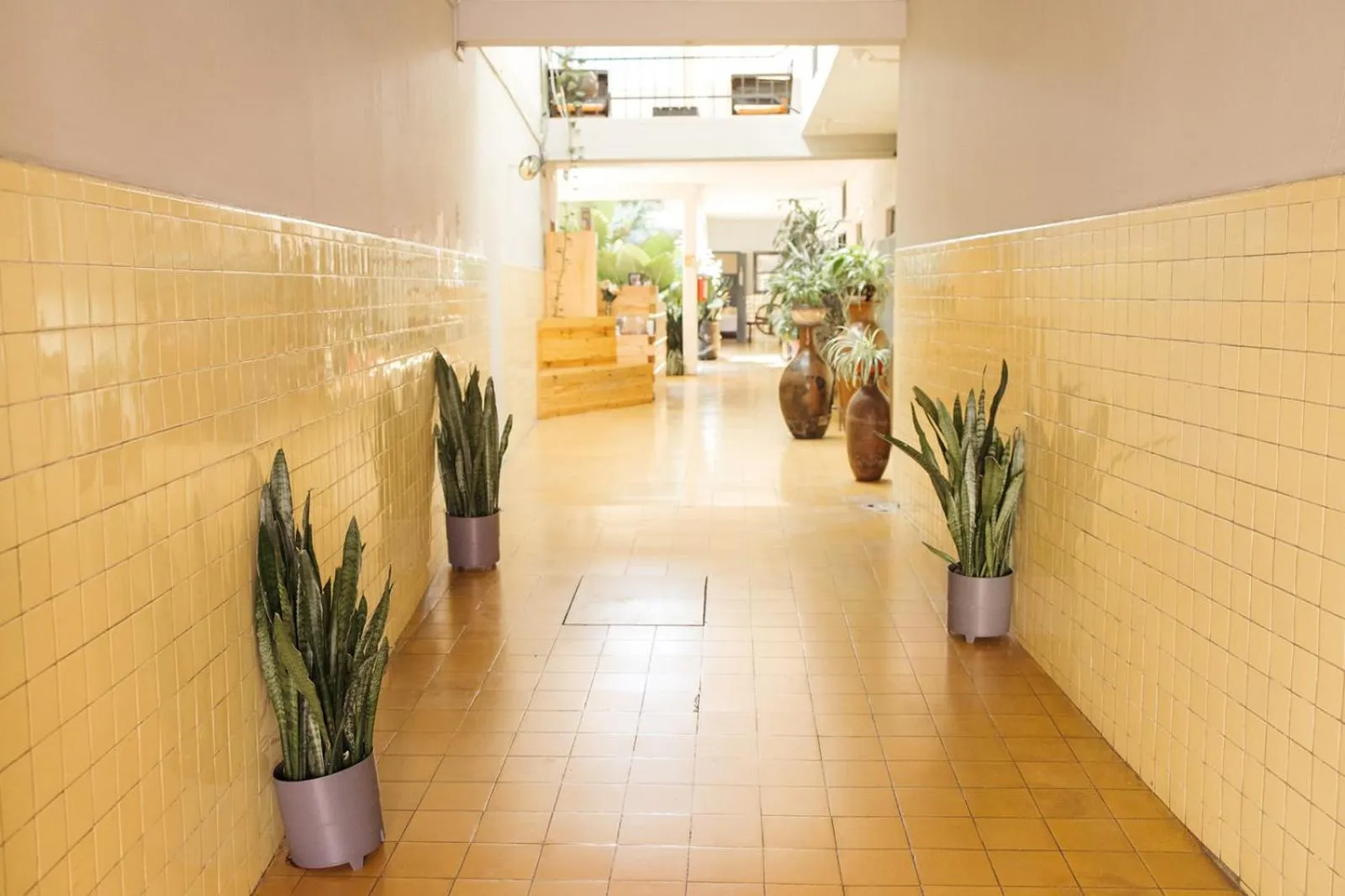 Lobby or reception in Hotel Allende Morelia