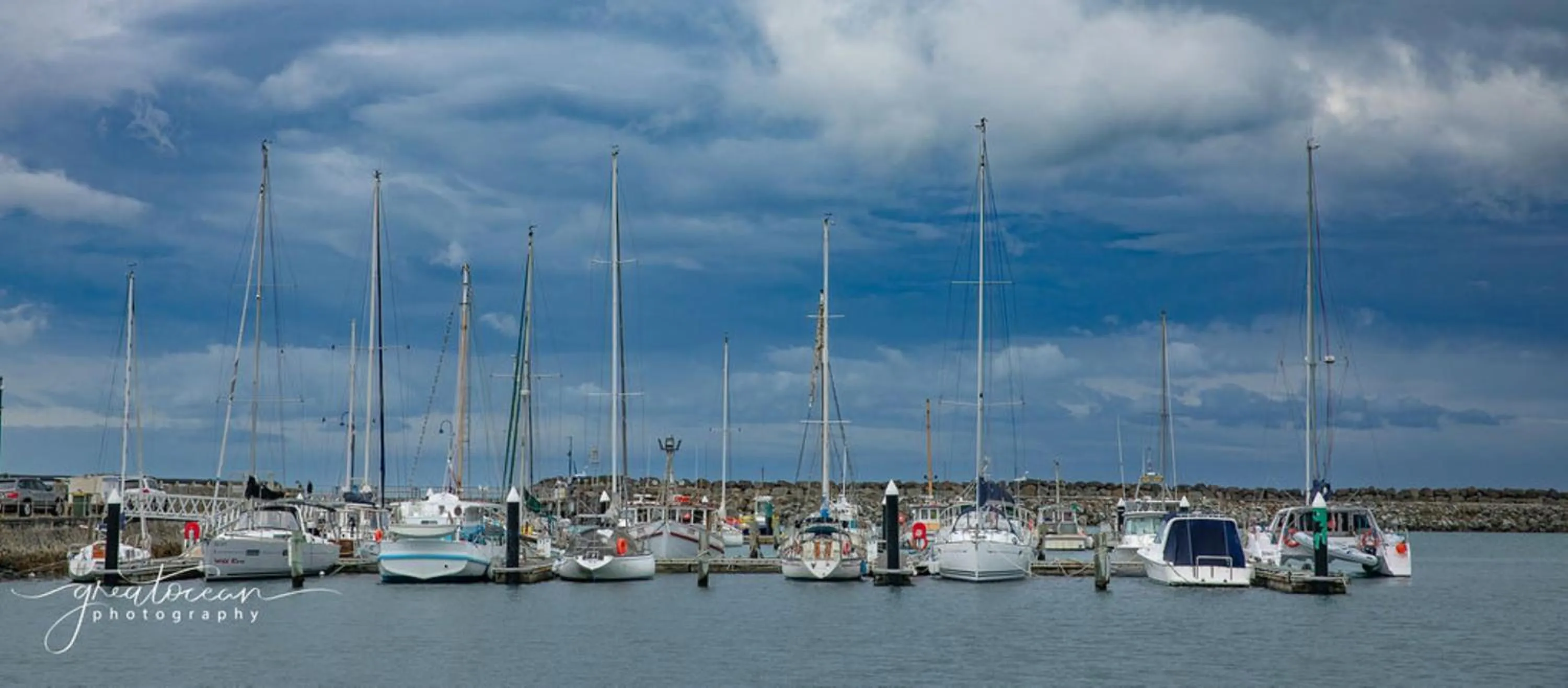 Fishing in Apollo Bay Motel & Apartments