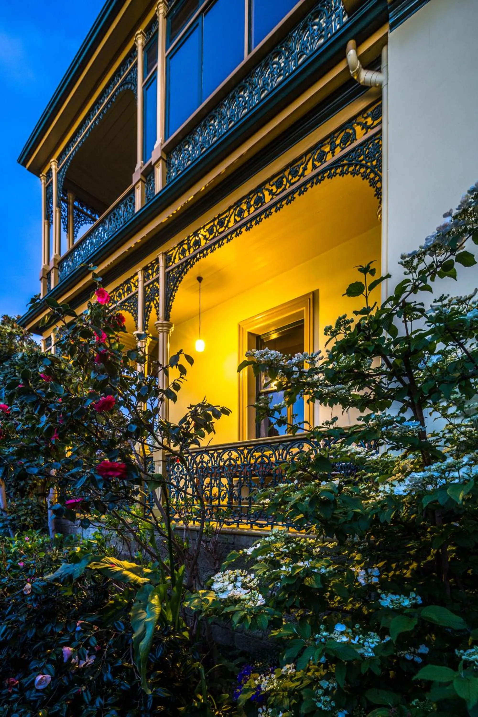 Garden in Corinda Contemporary