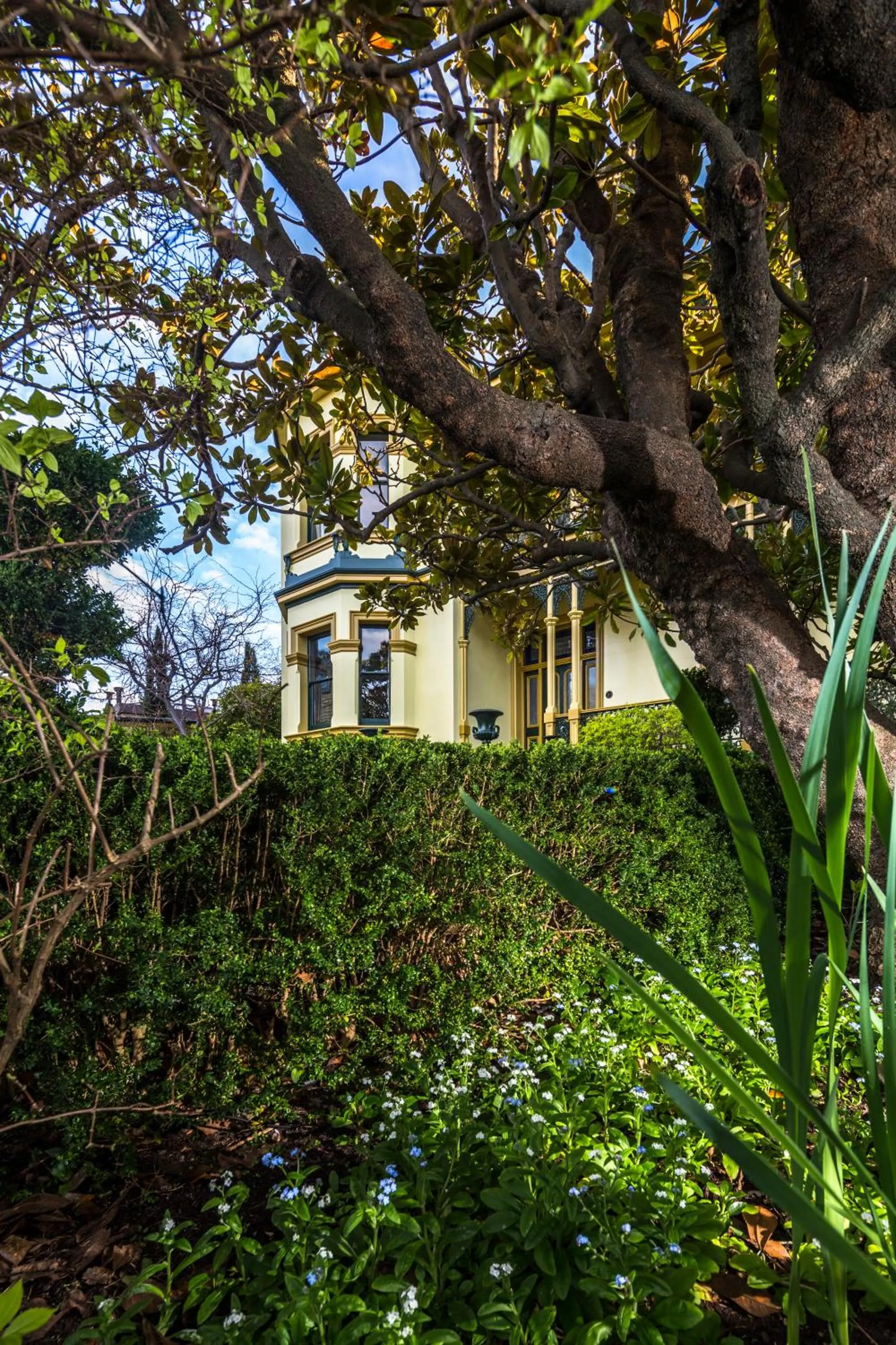 Garden in Corinda Contemporary