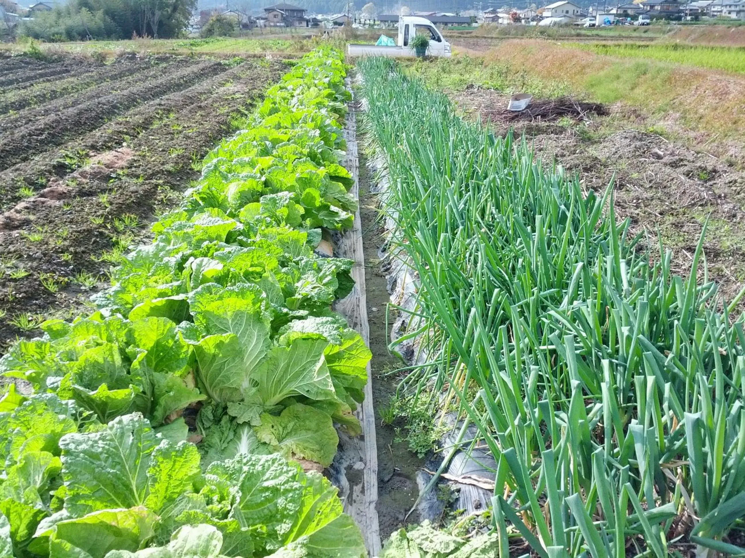 Area and facilities in Yumoto Onsen OharaSansou