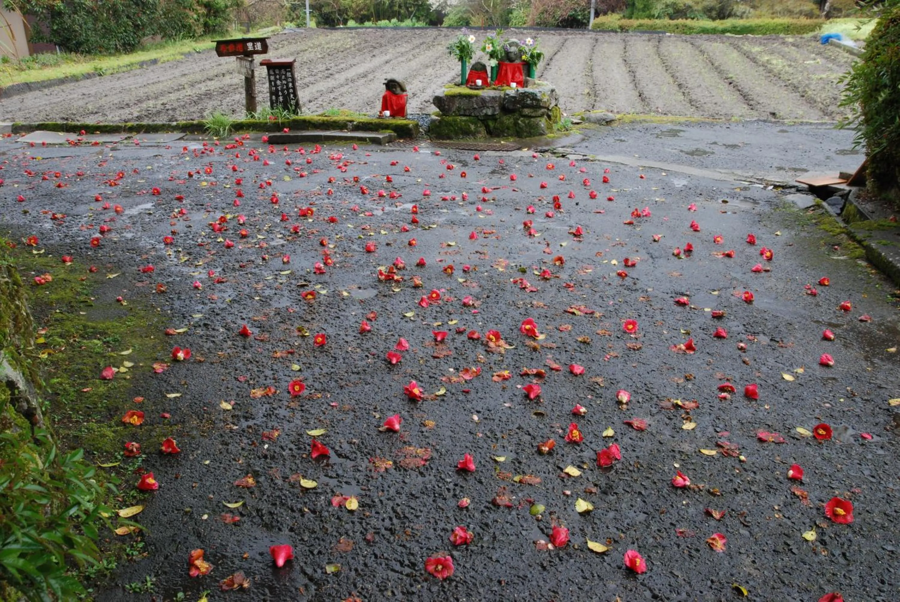 Area and facilities in Yumoto Onsen OharaSansou