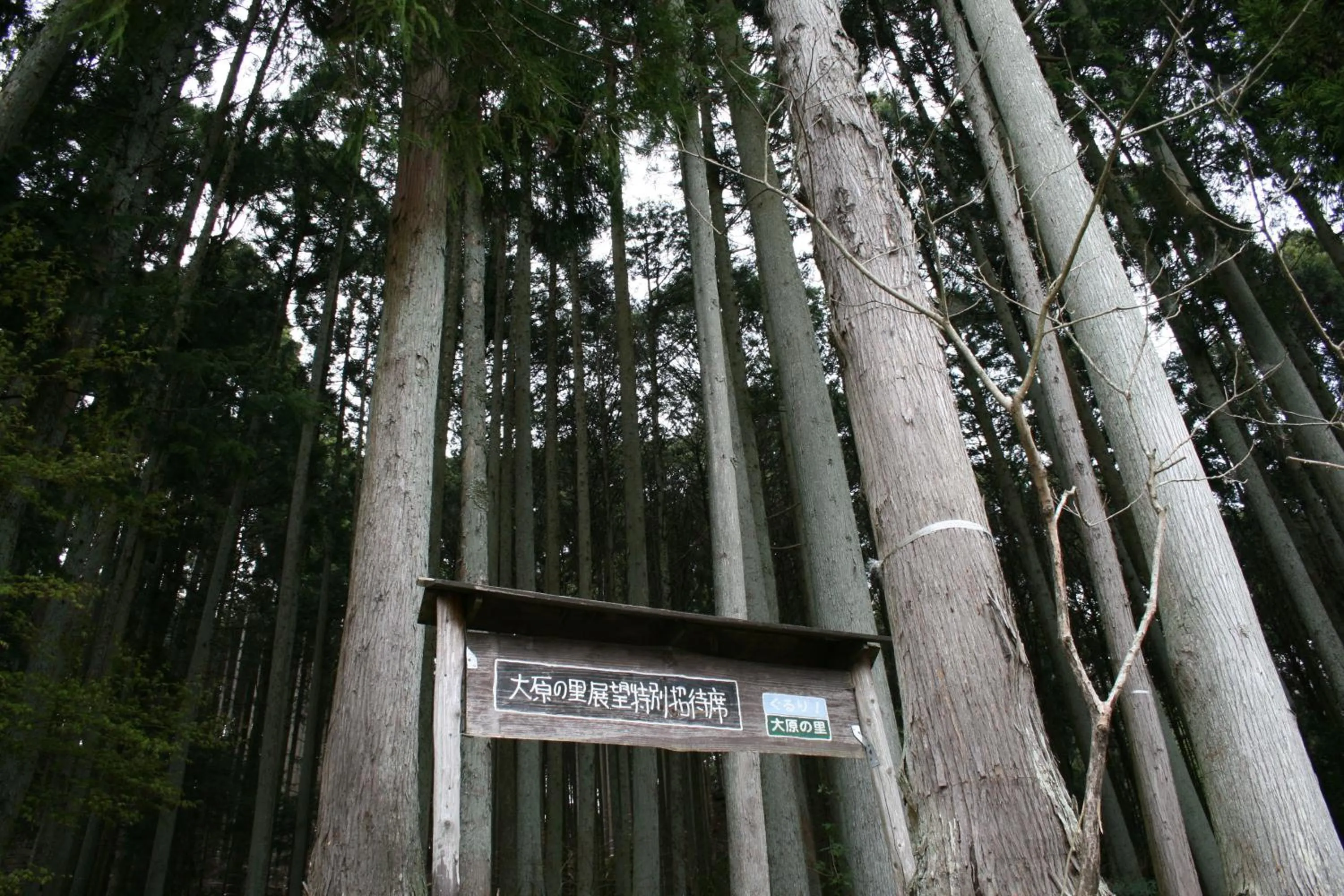Off site in Yumoto Onsen OharaSansou