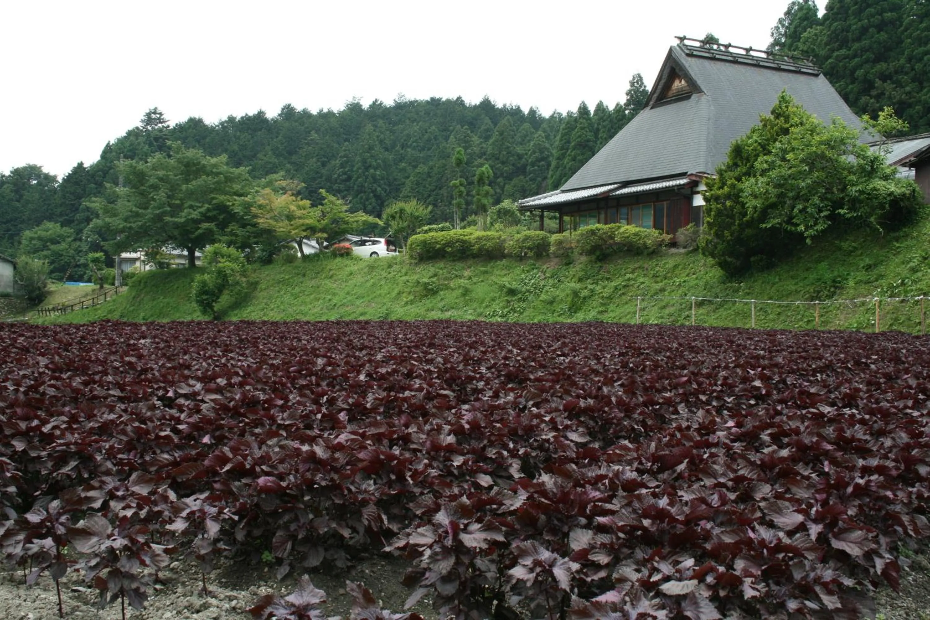 Natural landscape in Yumoto Onsen OharaSansou