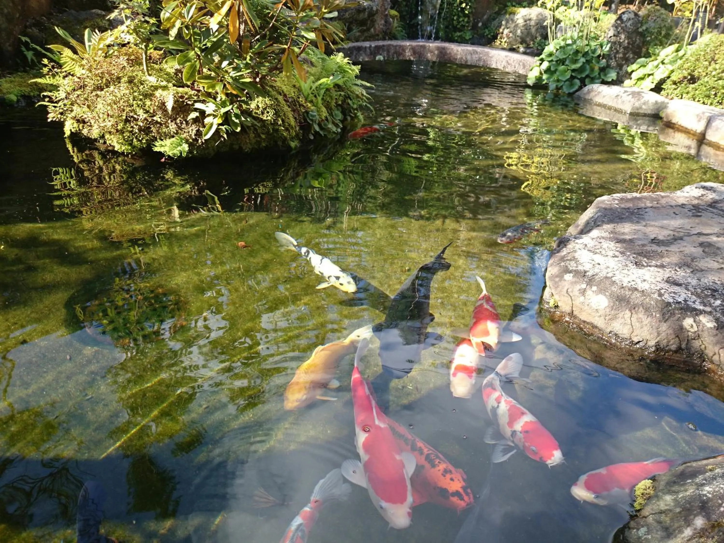 Garden in Yumoto Onsen OharaSansou