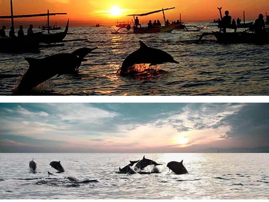 Bali Paradise Hotel Boutique Resort