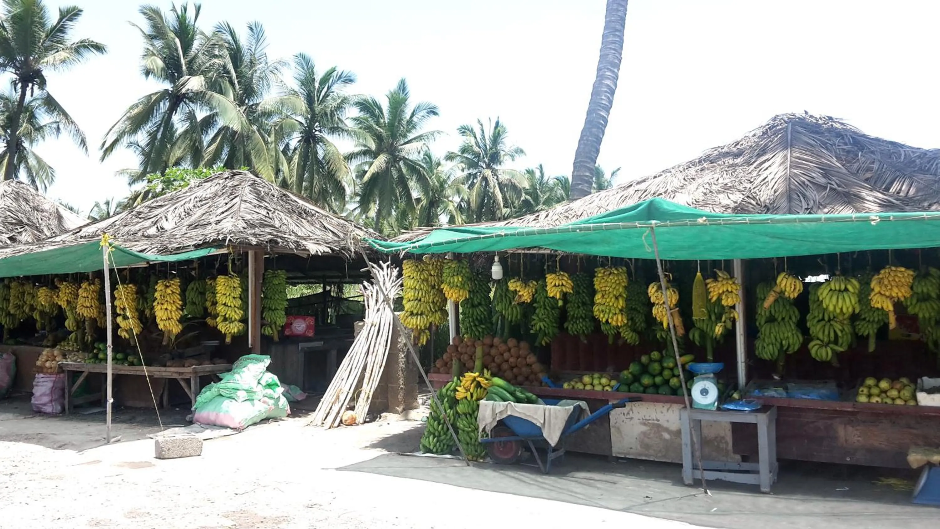 Area and facilities in Samharam Resort Salalah