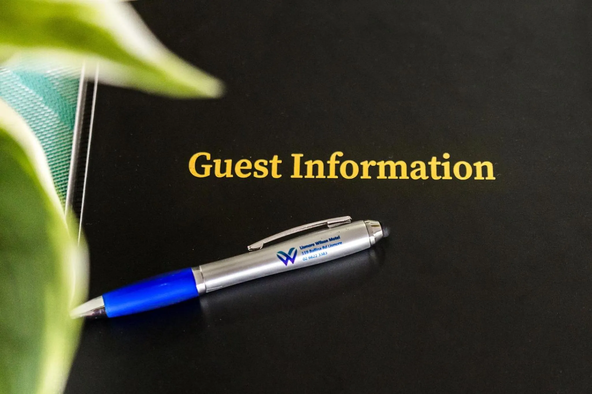 Lismore Wilson Motel