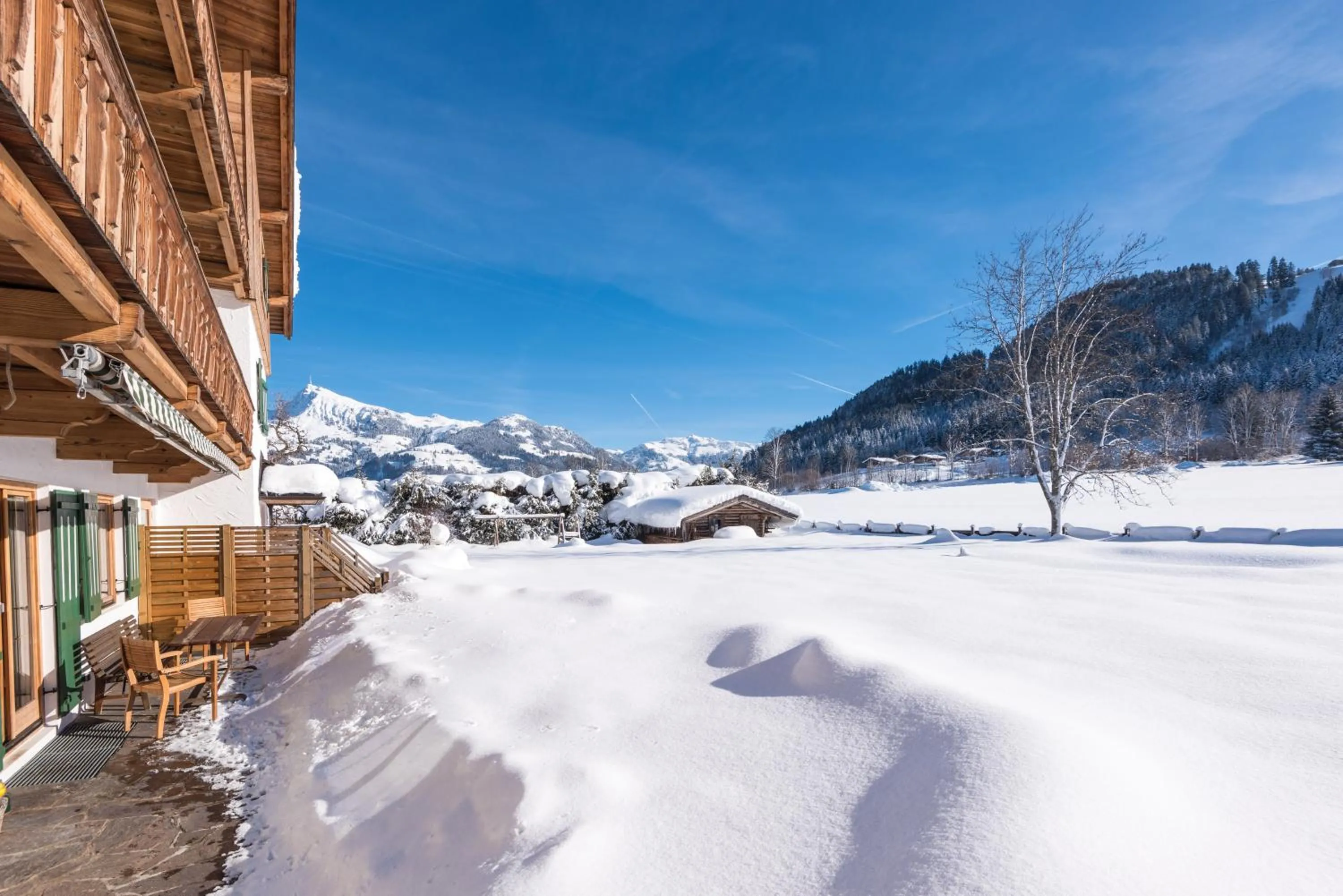 Winter in Apartments Foidl