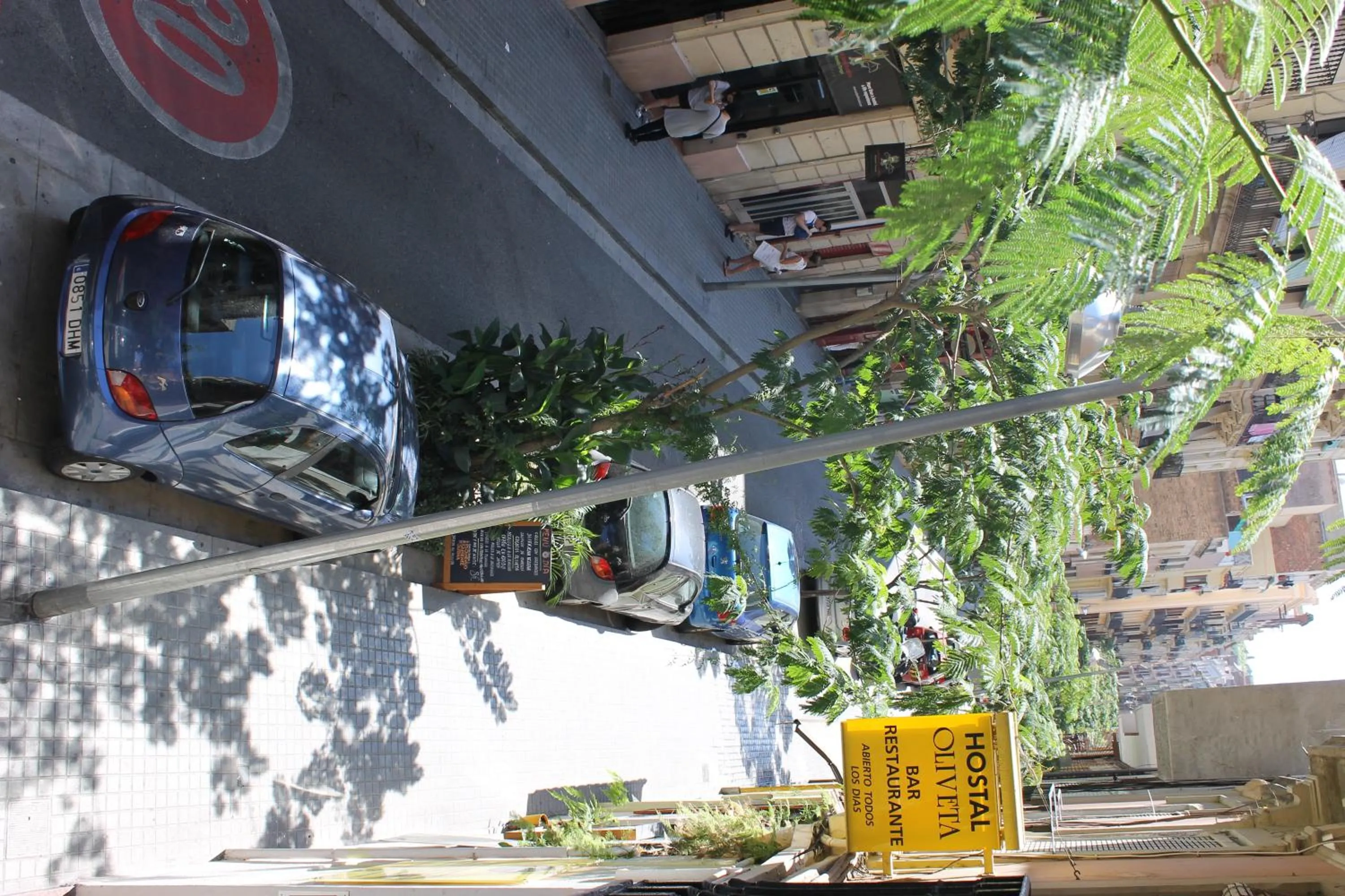 Day in Hostal Oliveta