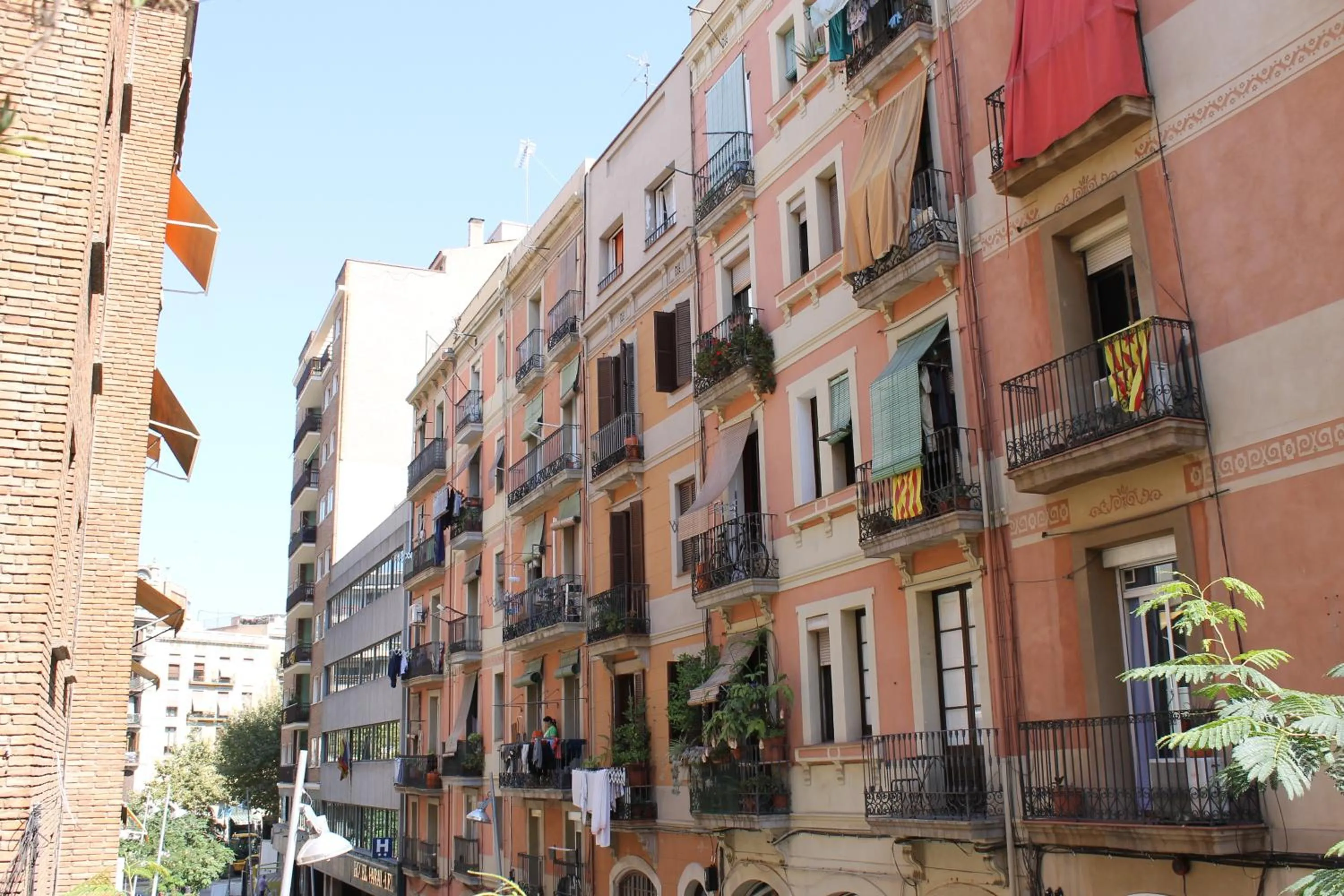 Day in Hostal Oliveta