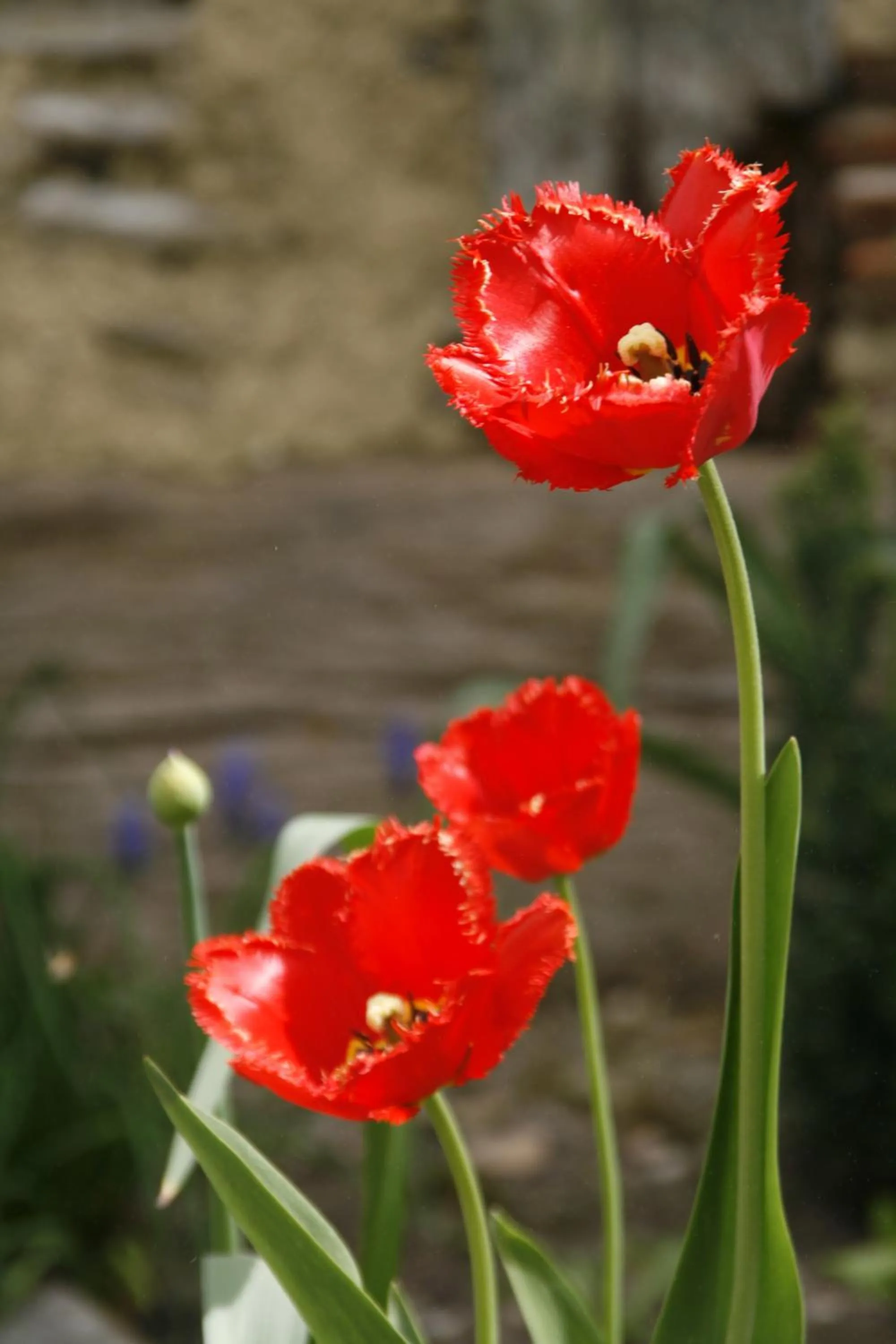 Waldvogel Ferienzimmer klimatisiert
