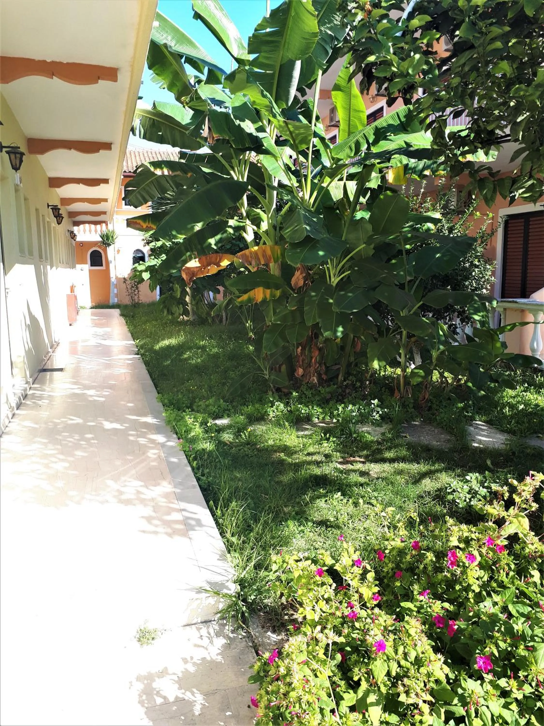 Garden view in Sophie Studios