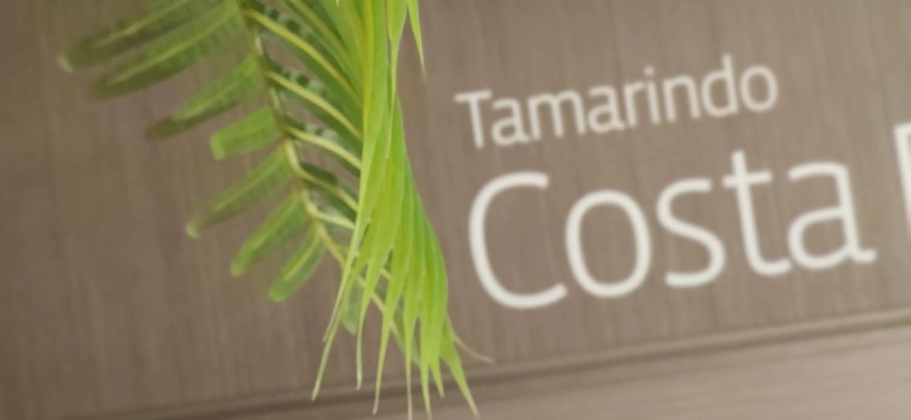 Property logo or sign in Le Petit Boutique Hotel