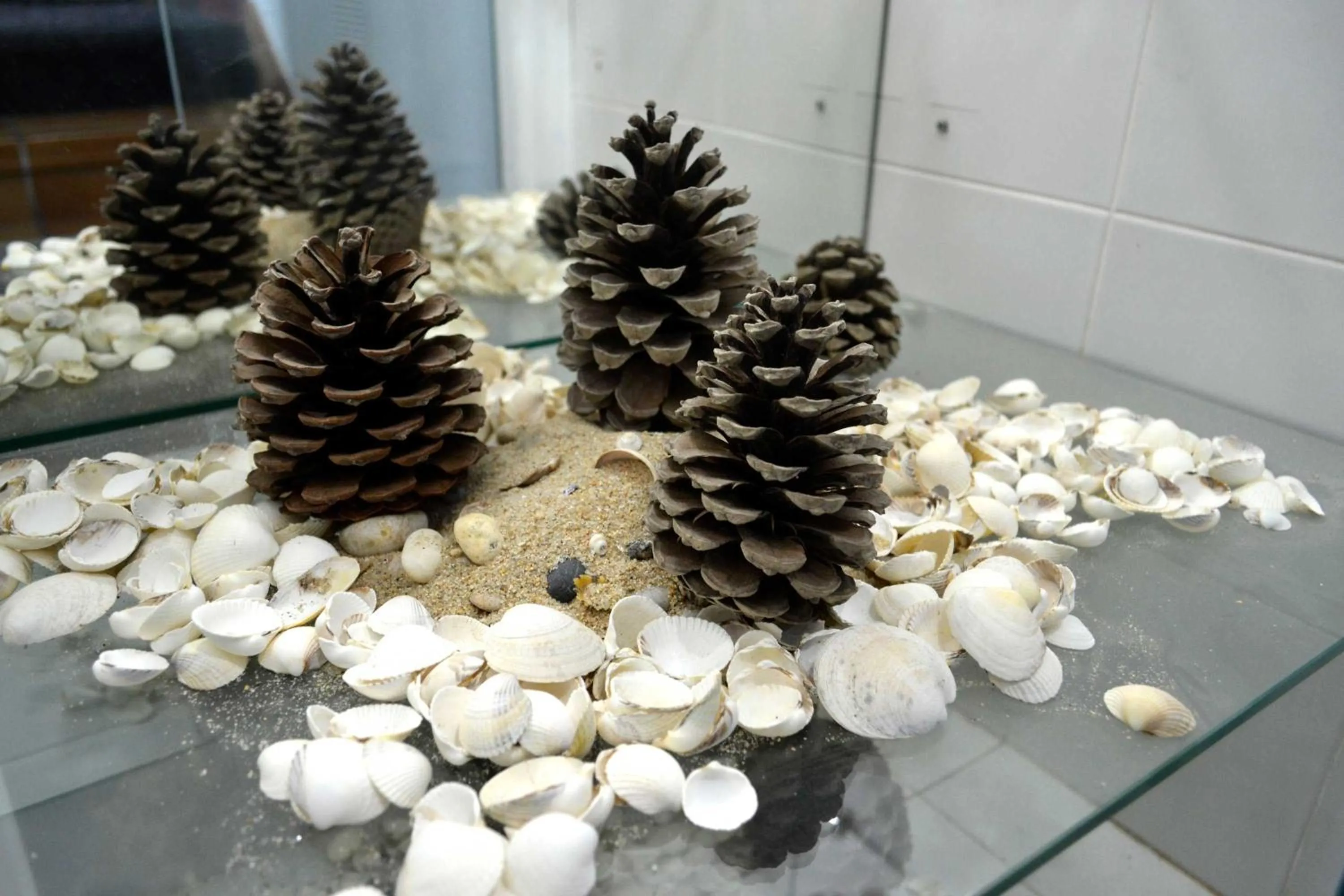 Decorative detail in Albergue O Fogar de Teodomiro