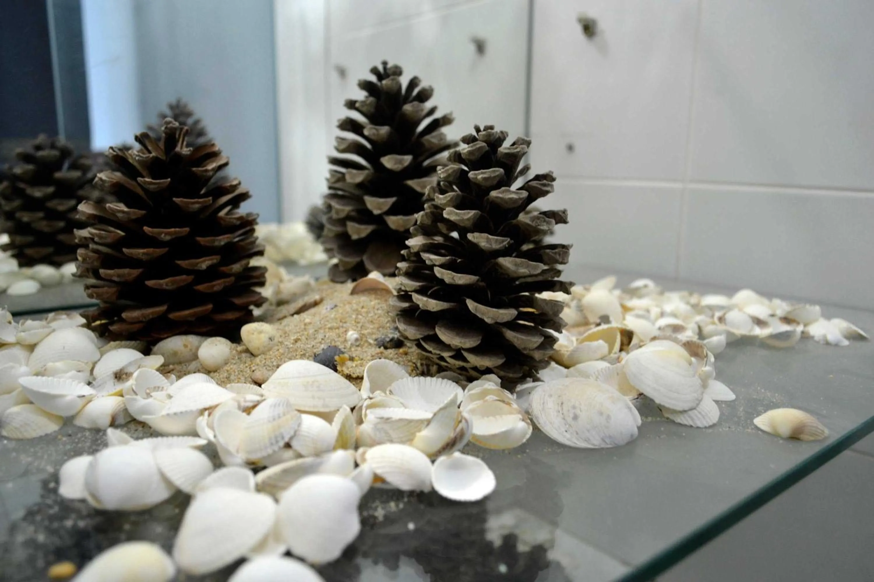 Decorative detail in Albergue O Fogar de Teodomiro