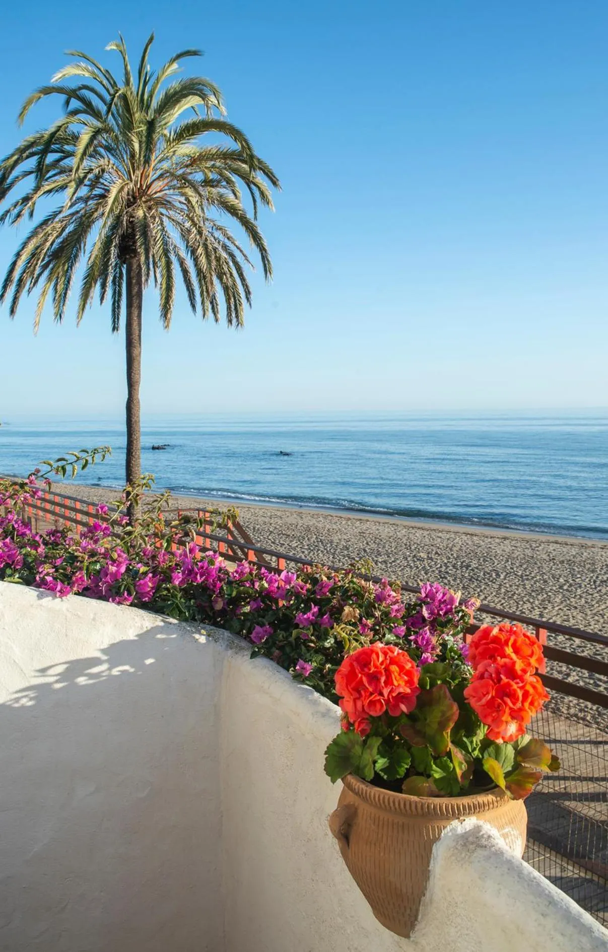 Natural landscape in Macdonald Leila Playa Resort