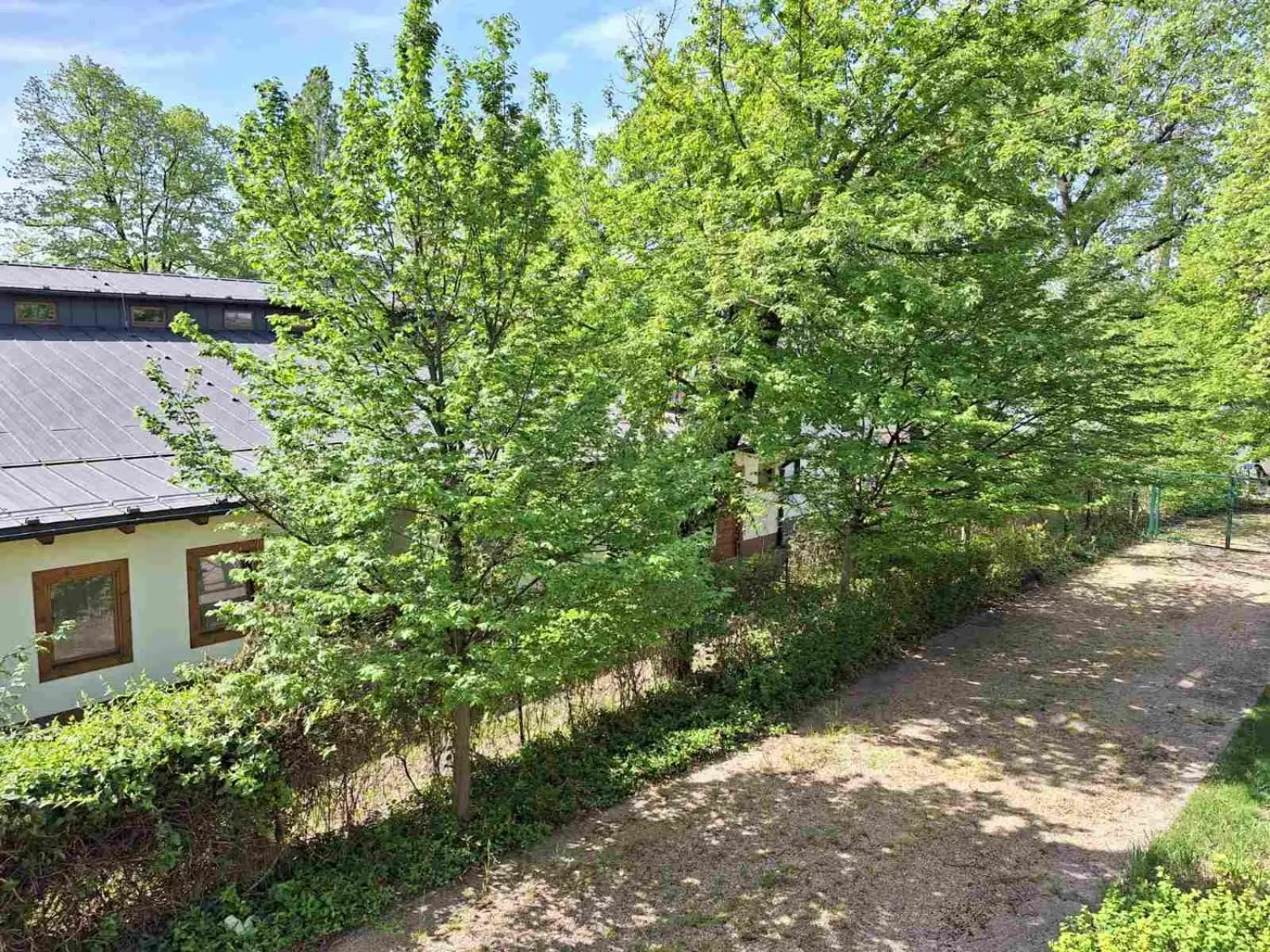 Garden in Duna Garden Hotel