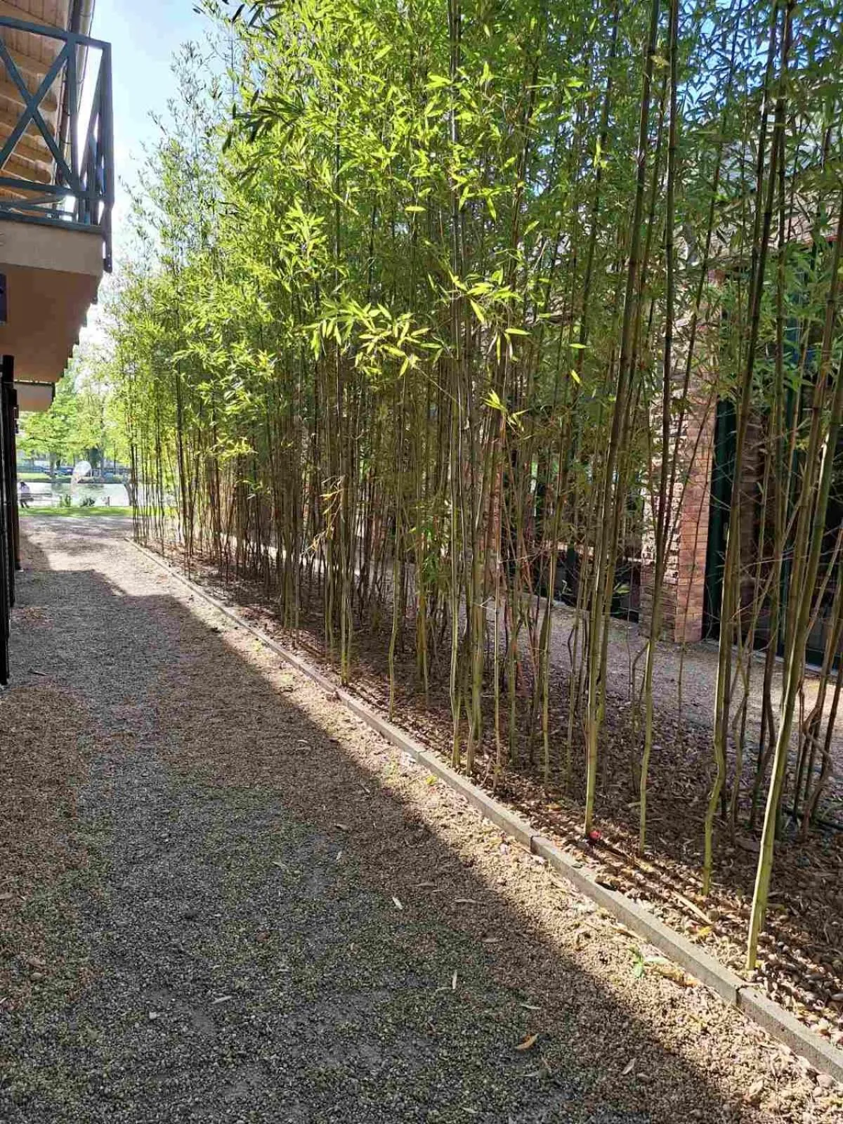 Spring in Duna Garden Hotel