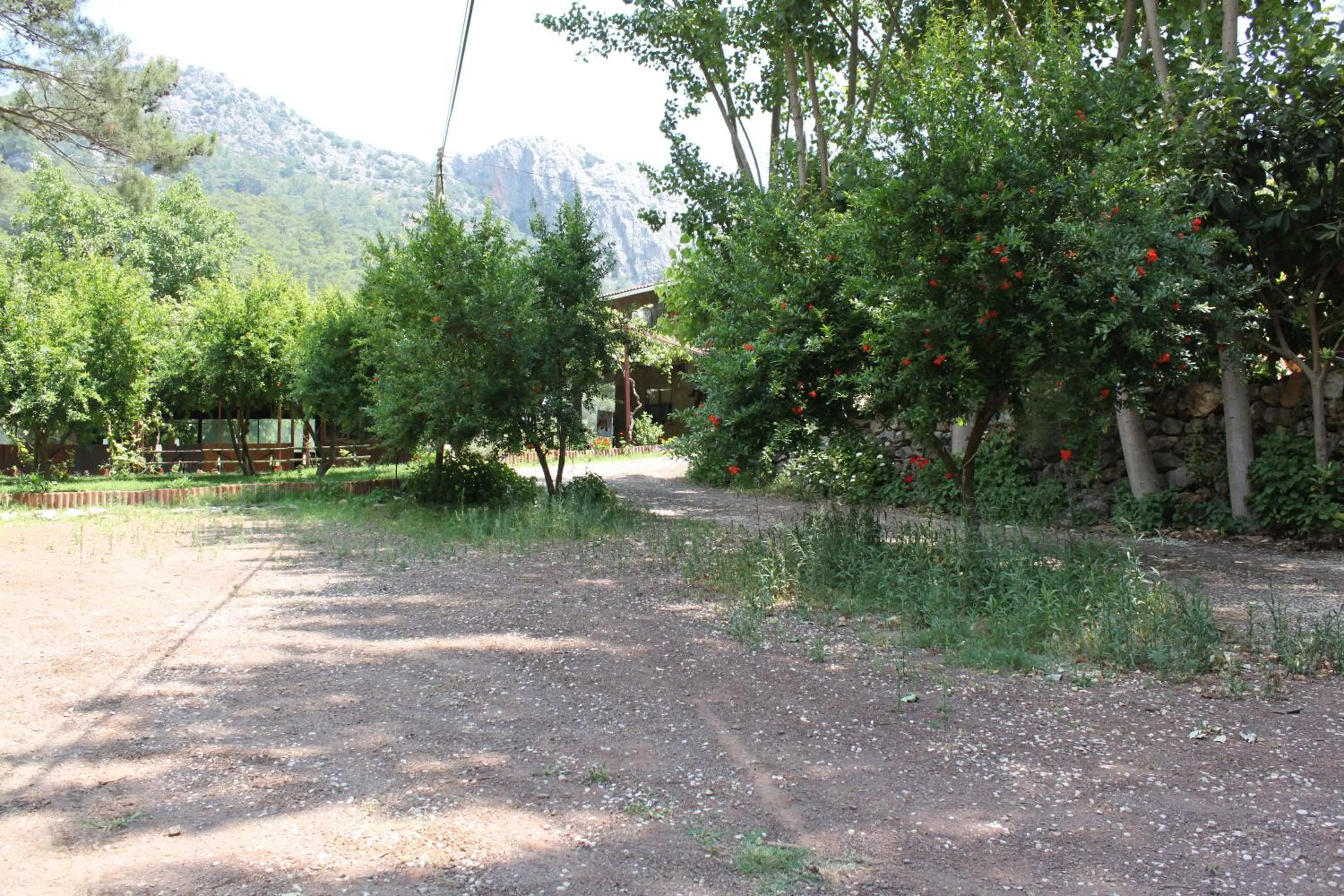 Day in Olympos Camlık Pension
