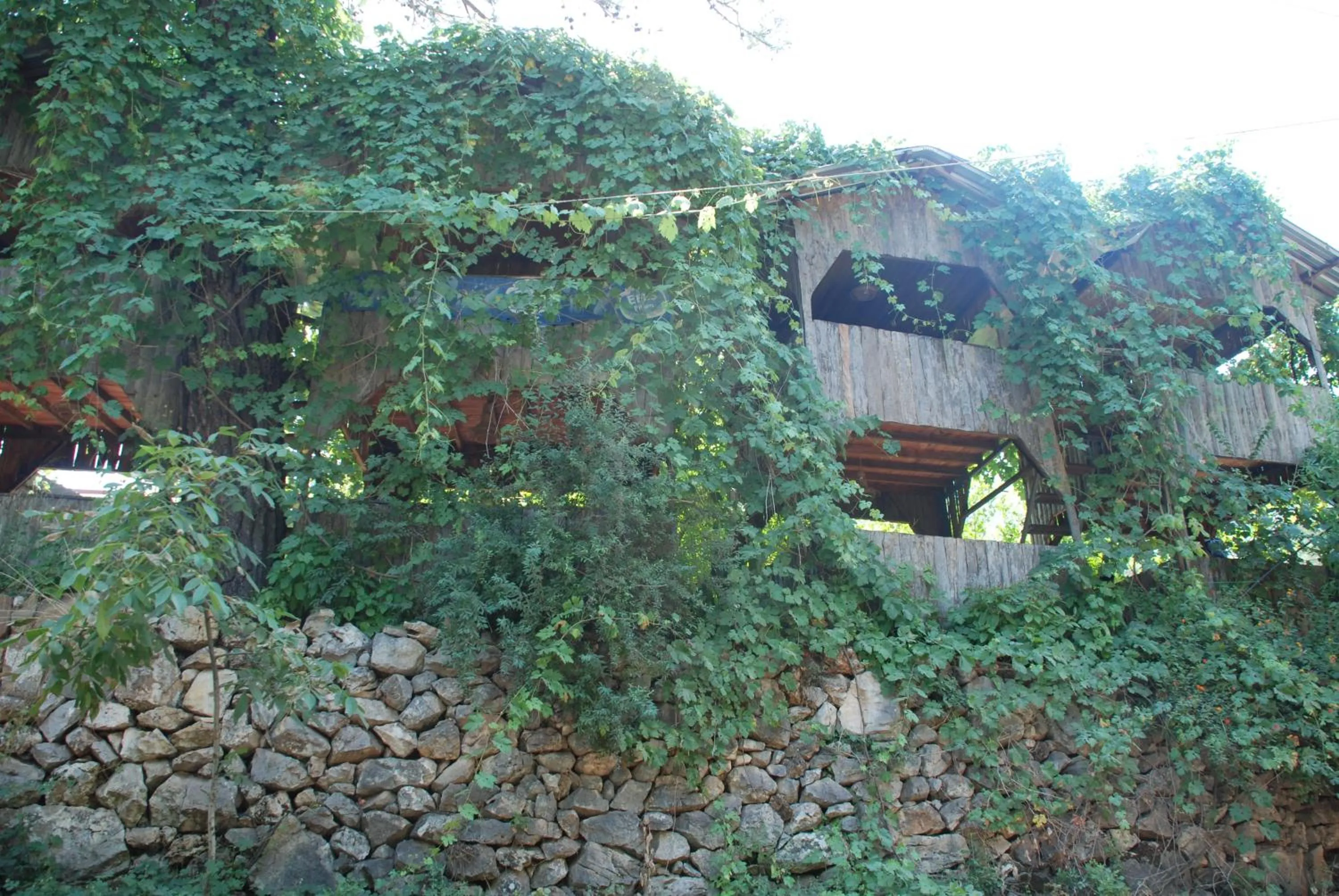 Off site in Olympos Camlık Pension