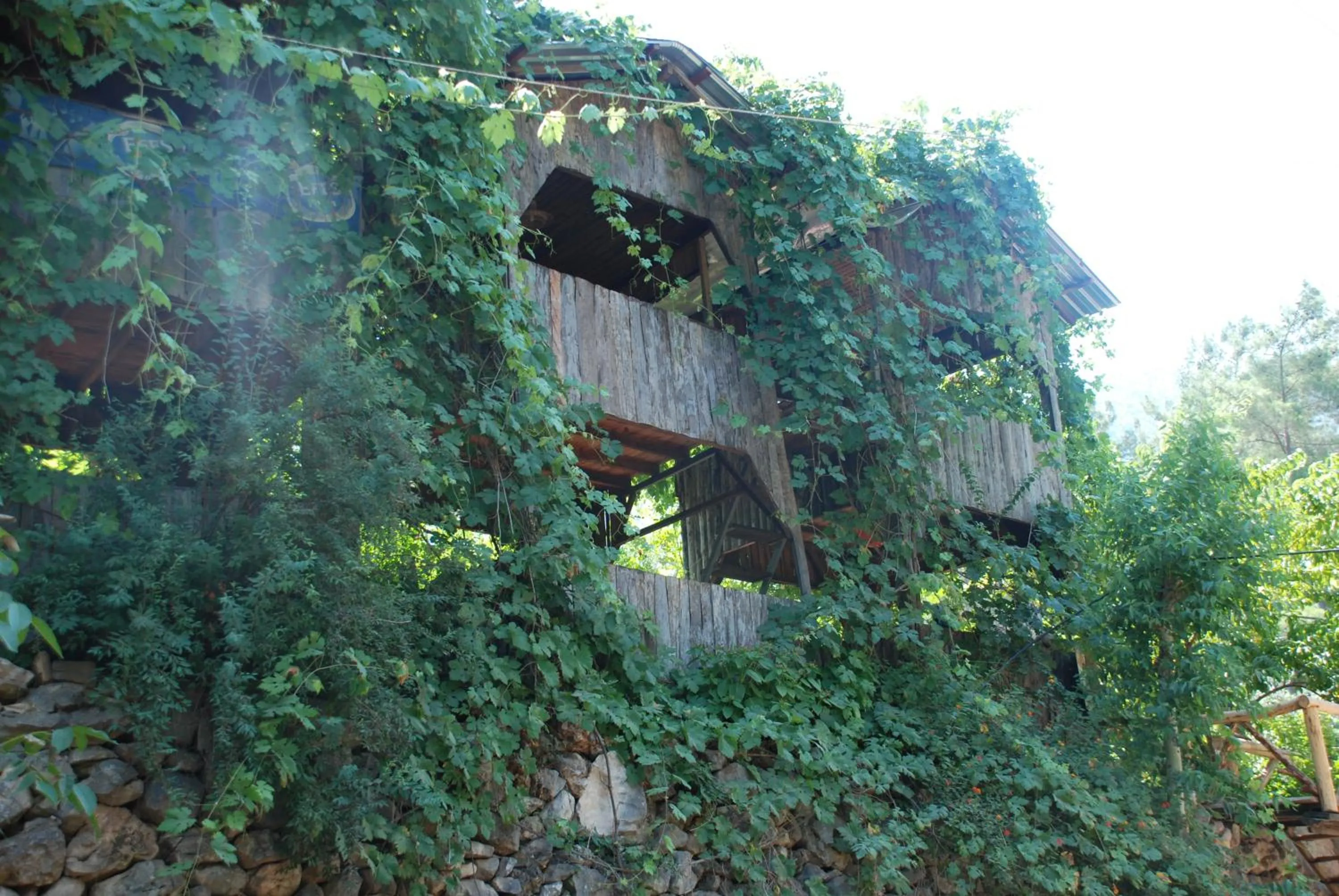 Off site in Olympos Camlık Pension