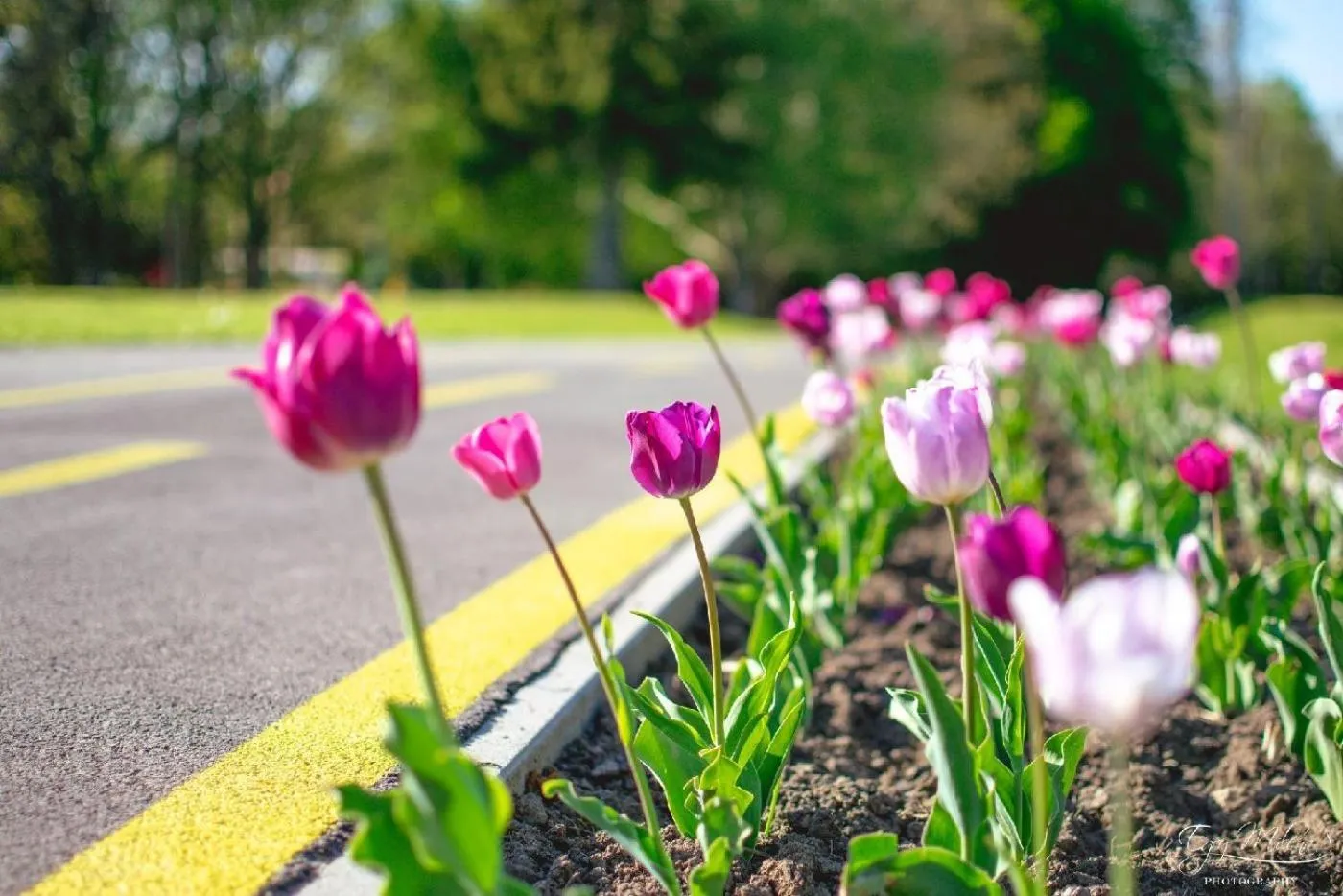 Neighbourhood in Napfény Hotel