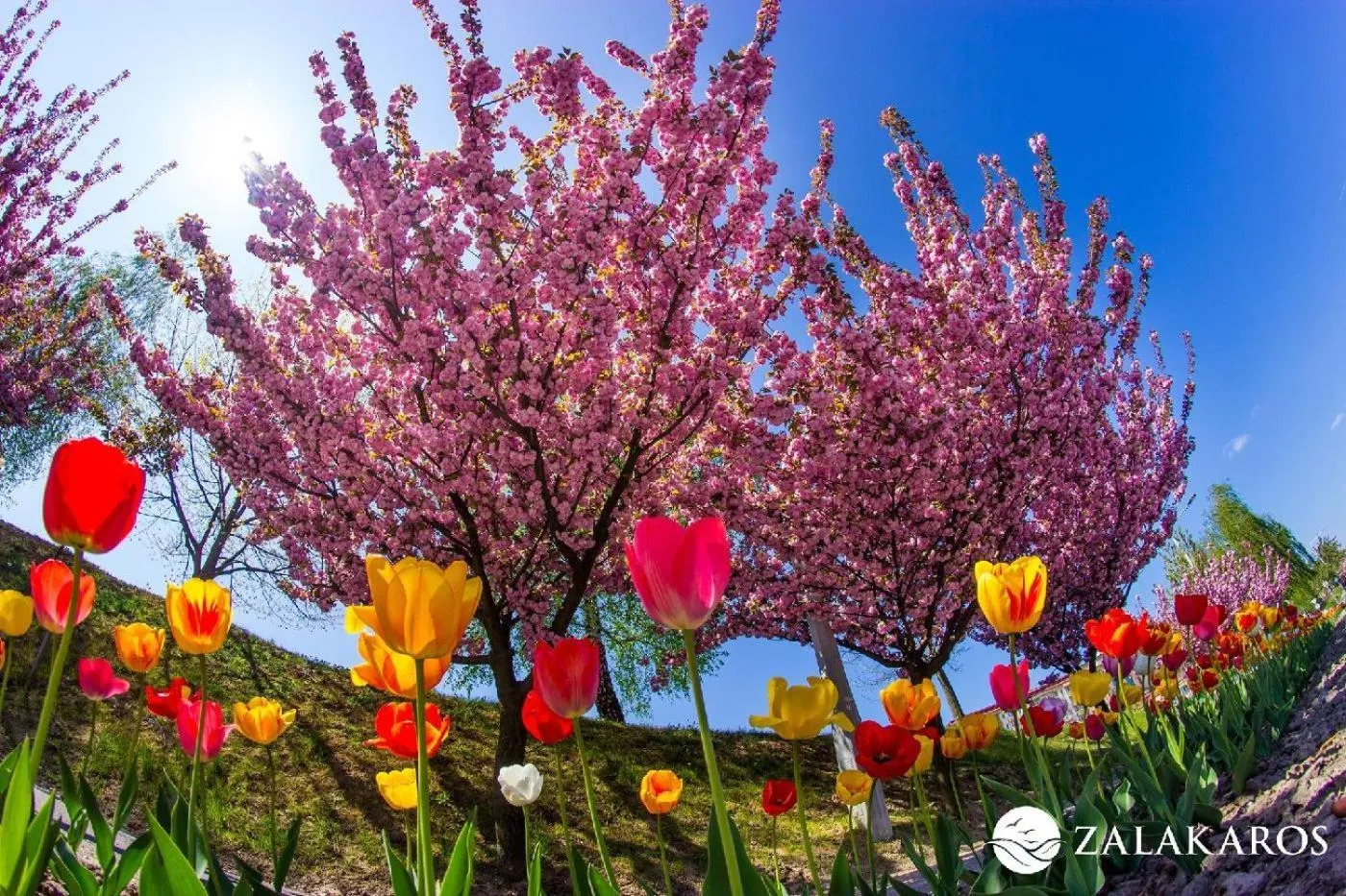 Neighbourhood in Napfény Hotel