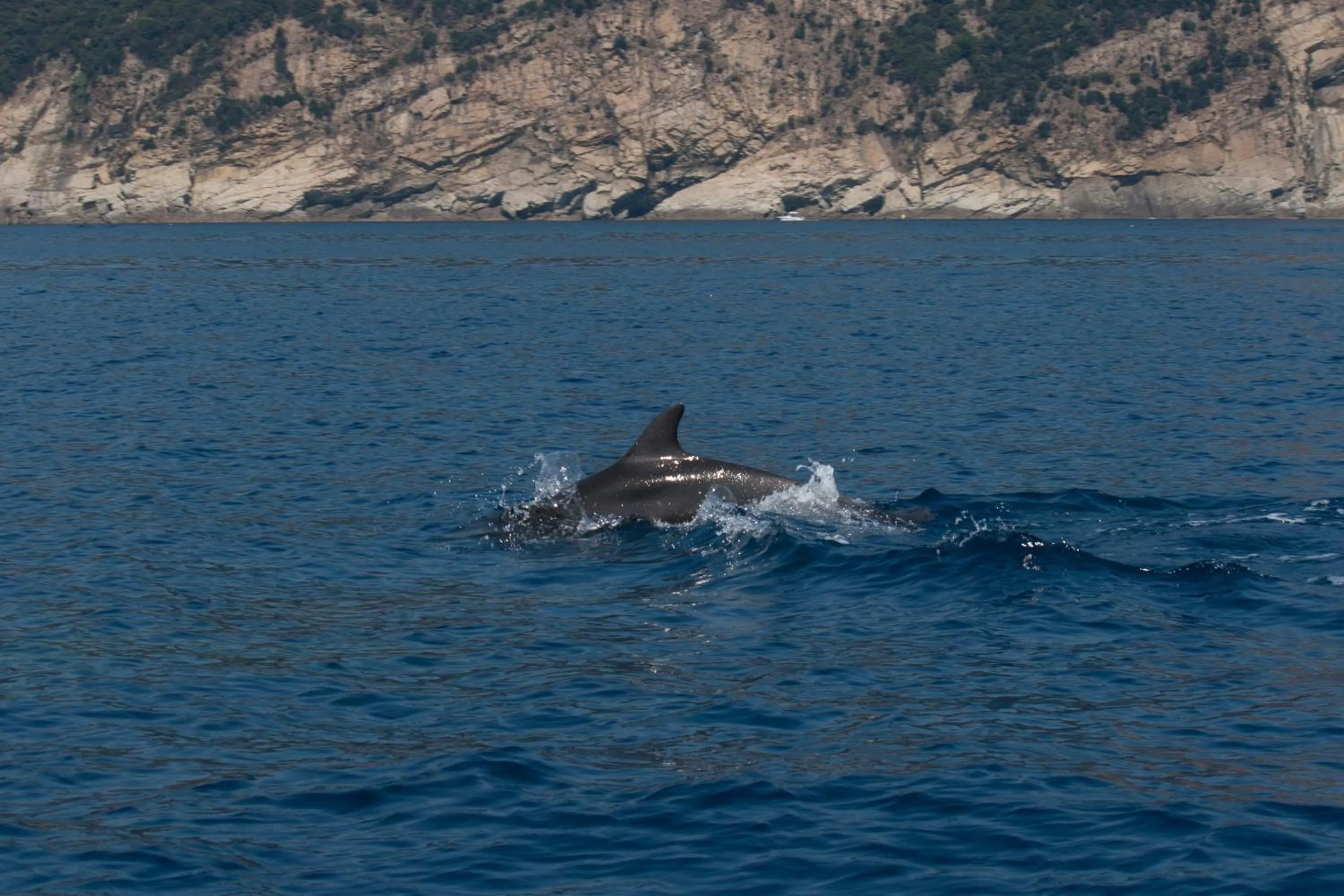 Other in Affittacamere Mariella