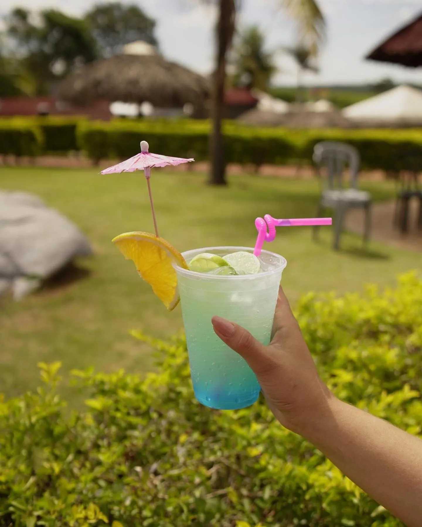 Food and drinks in Hotel Thermas Bonsucesso