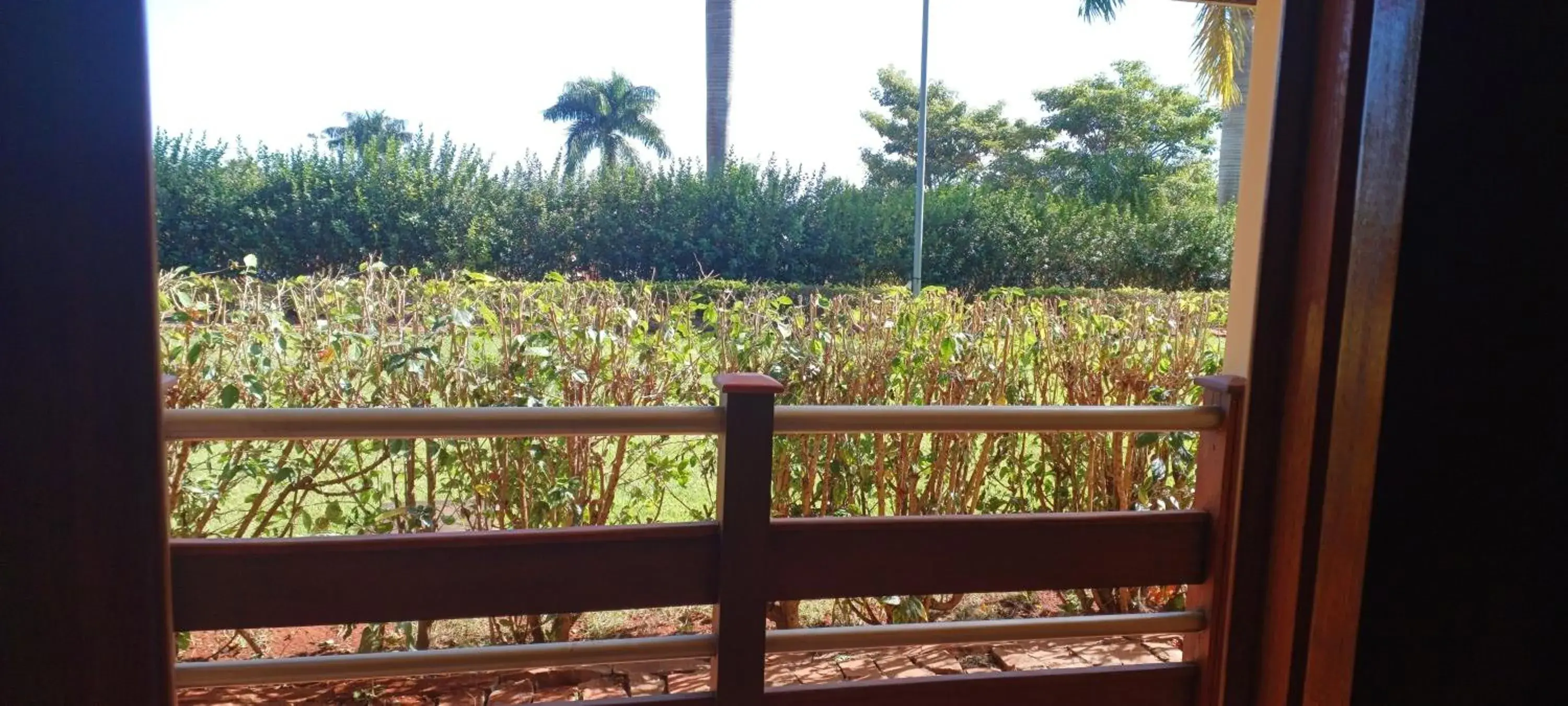 Deluxe Double or Twin Room with Balcony in Hotel Thermas Bonsucesso Deluxe Double or Twin Room with Balcony in Hotel Thermas Bonsucesso