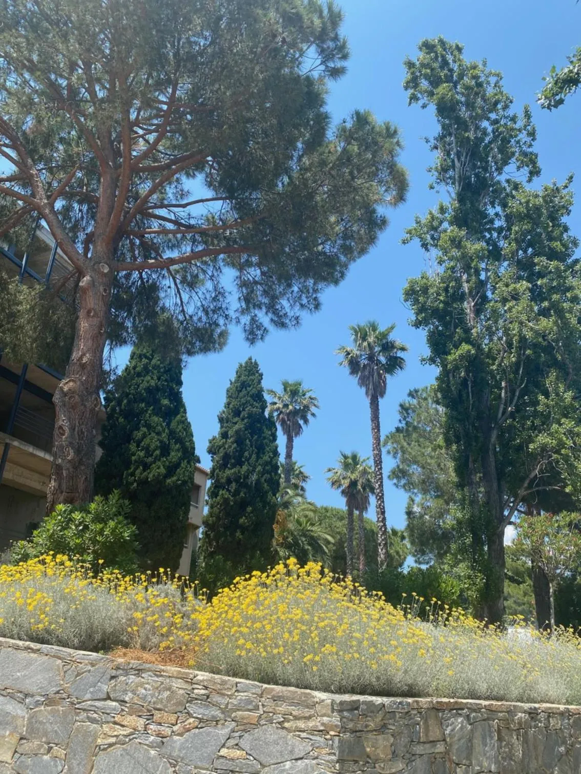 Garden in Cors'Hotel