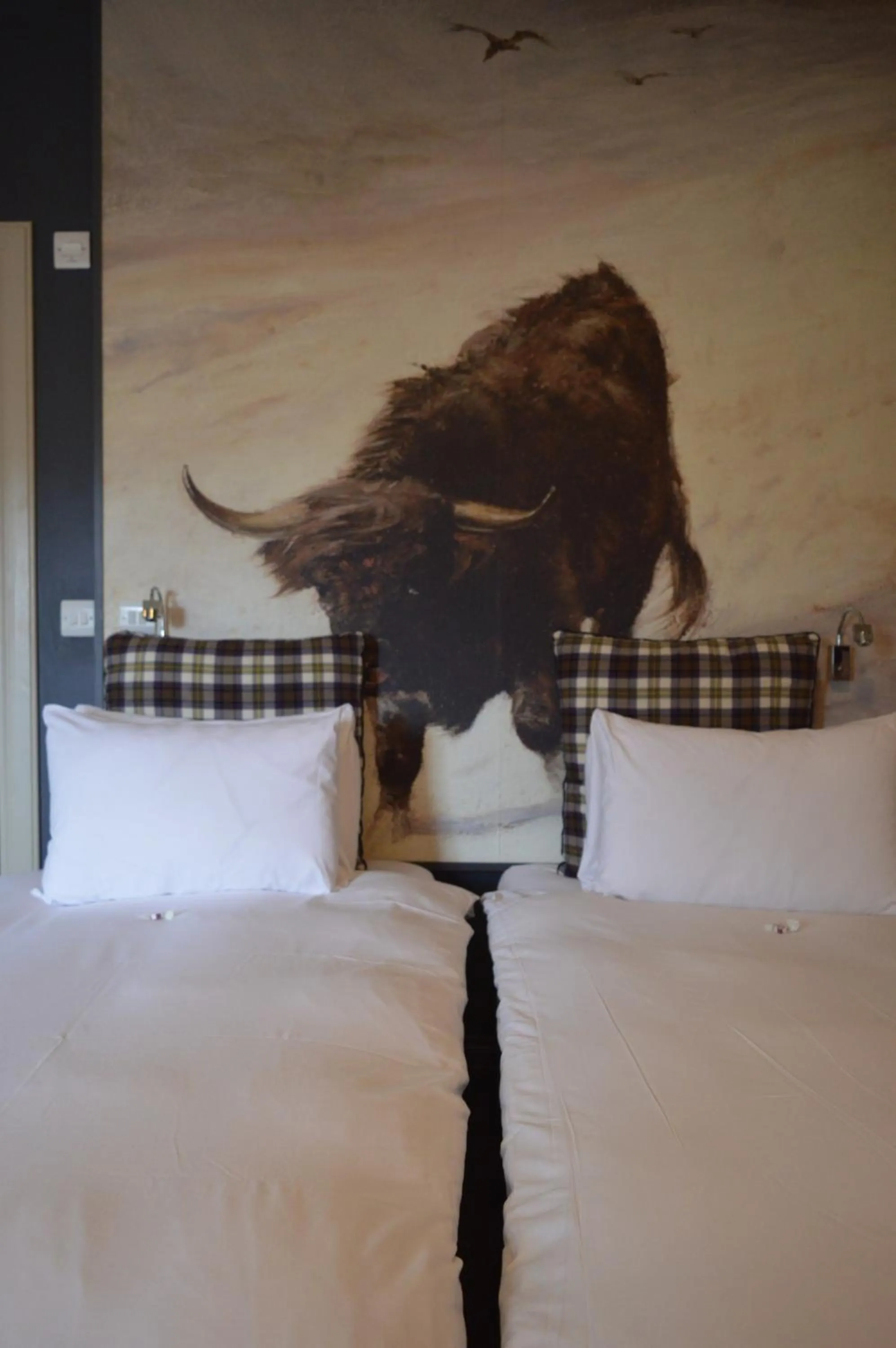 Decorative detail, Bed in B+B Edinburgh