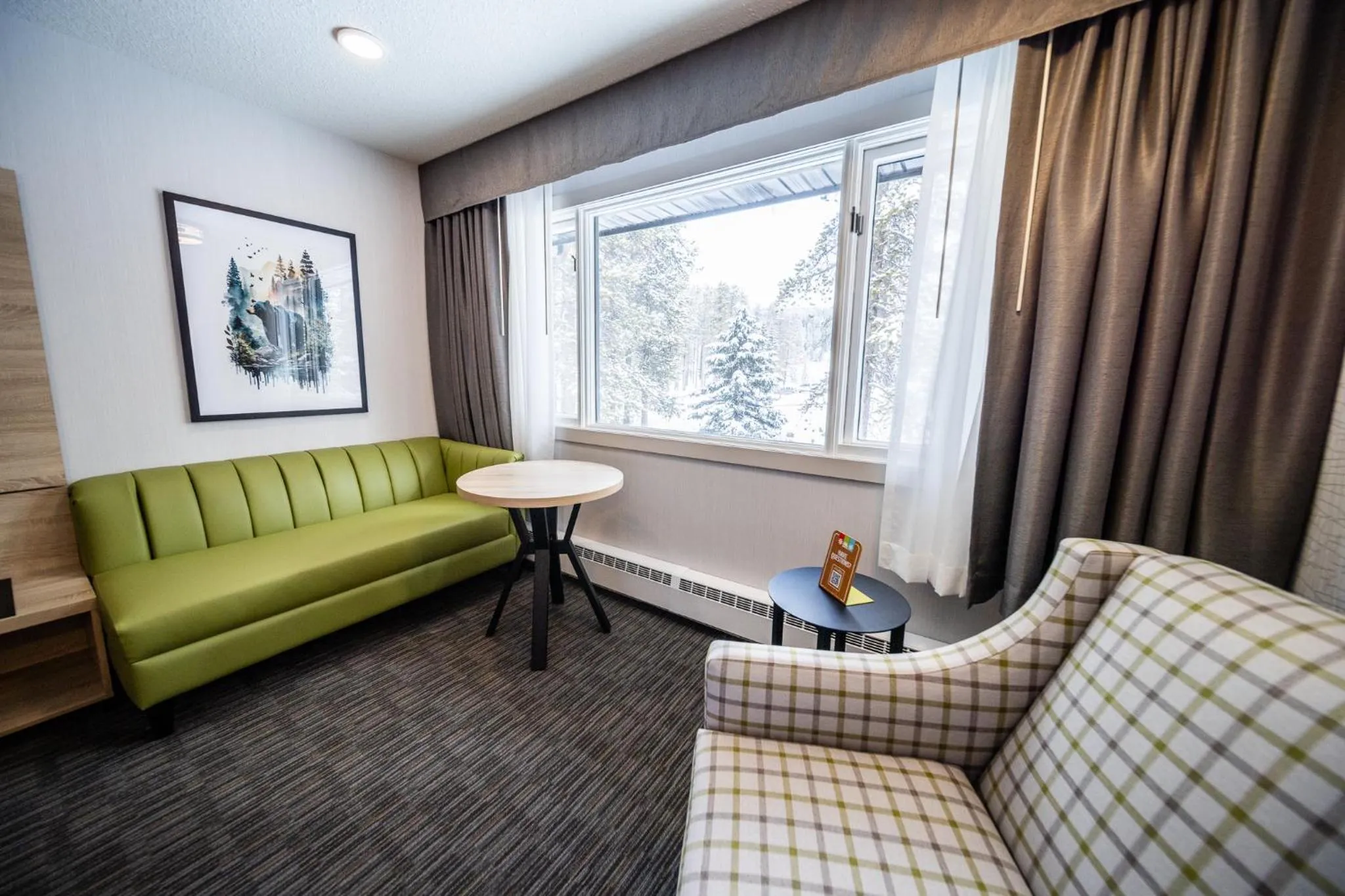 View (from property/room) in Mountaineer Lodge