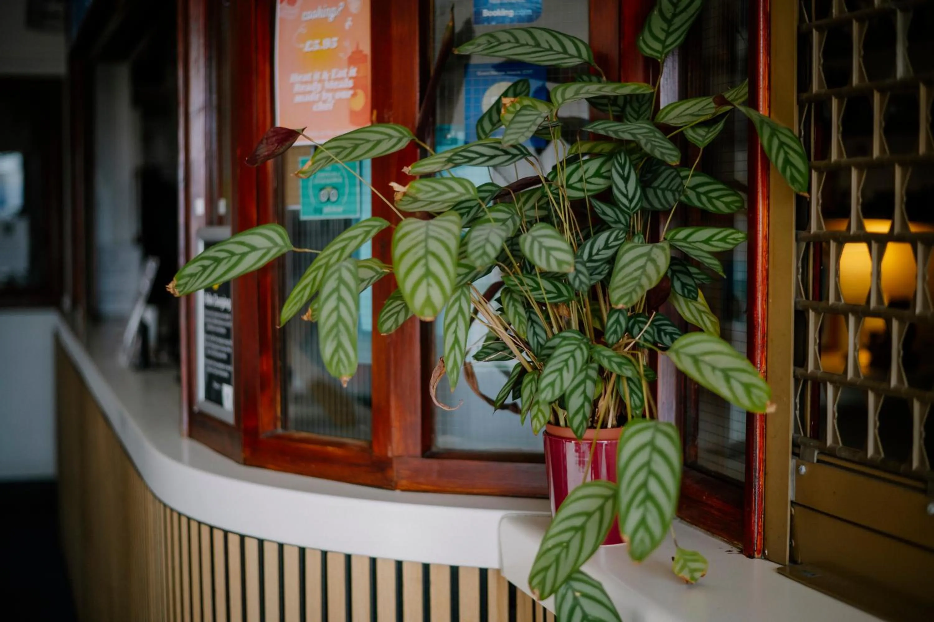 Glasgow Youth Hostel