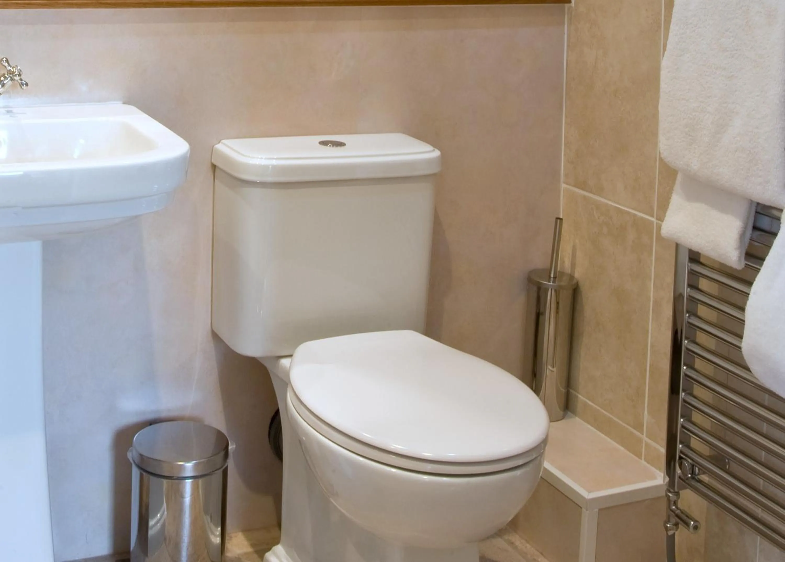 Toilet in New Dungeon Ghyll Hotel