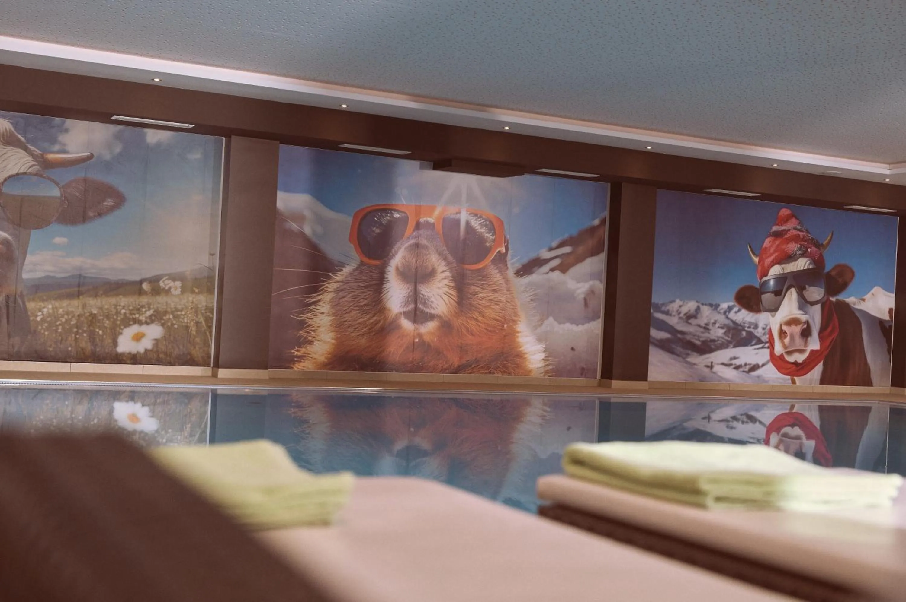 Spa and wellness centre/facilities in Hotel Sonnalp