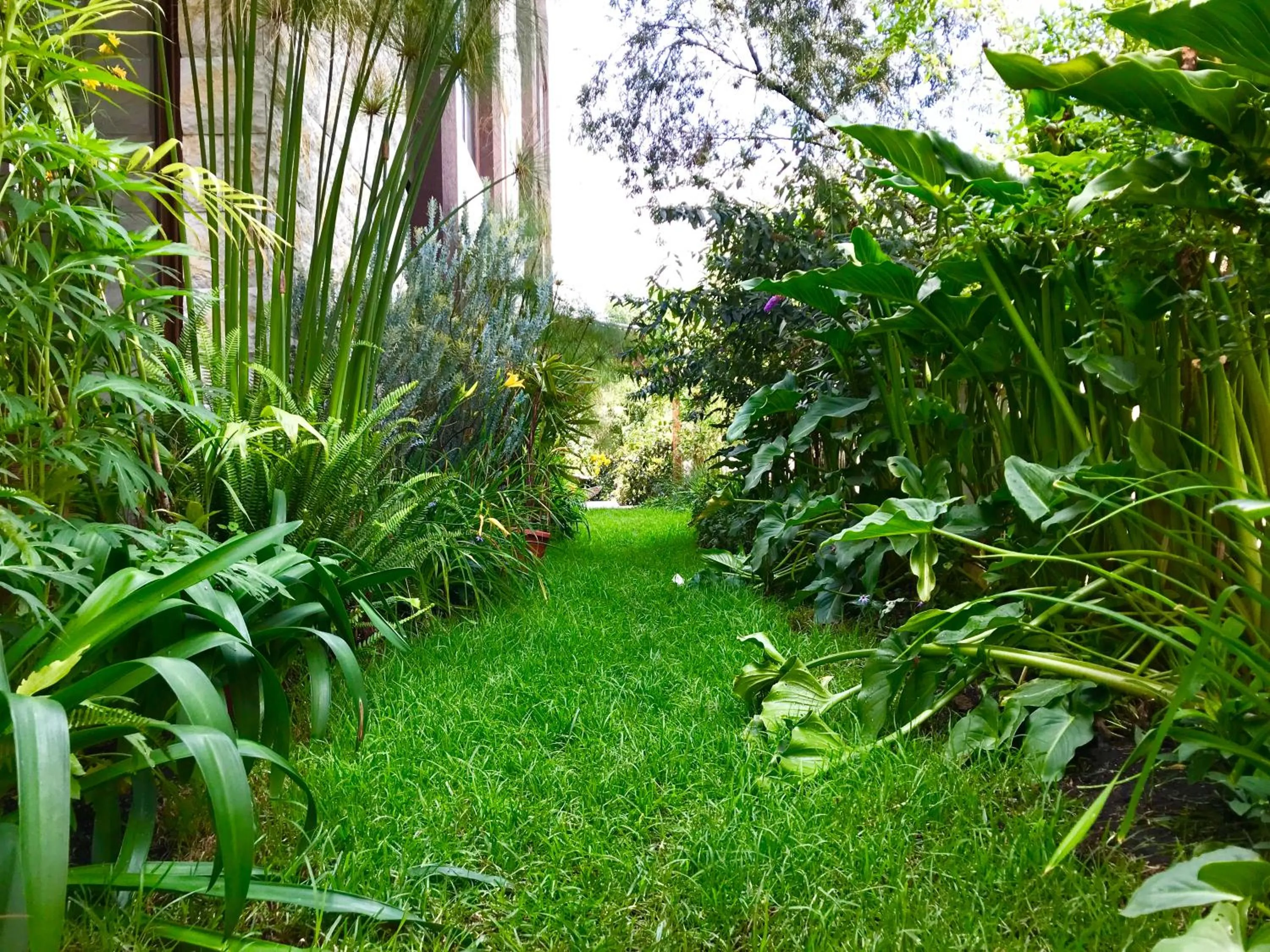 Restaurant/places to eat in Ilalo Garden Hotel & Restaurant