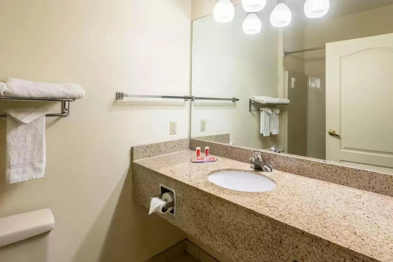Bathroom in Econo Lodge Inn & Suites Douglasville