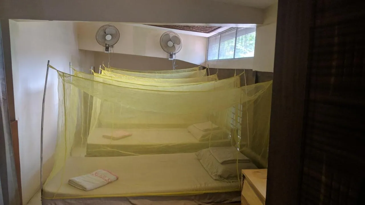 Bed in Cebu Pungko-pungko Hostel