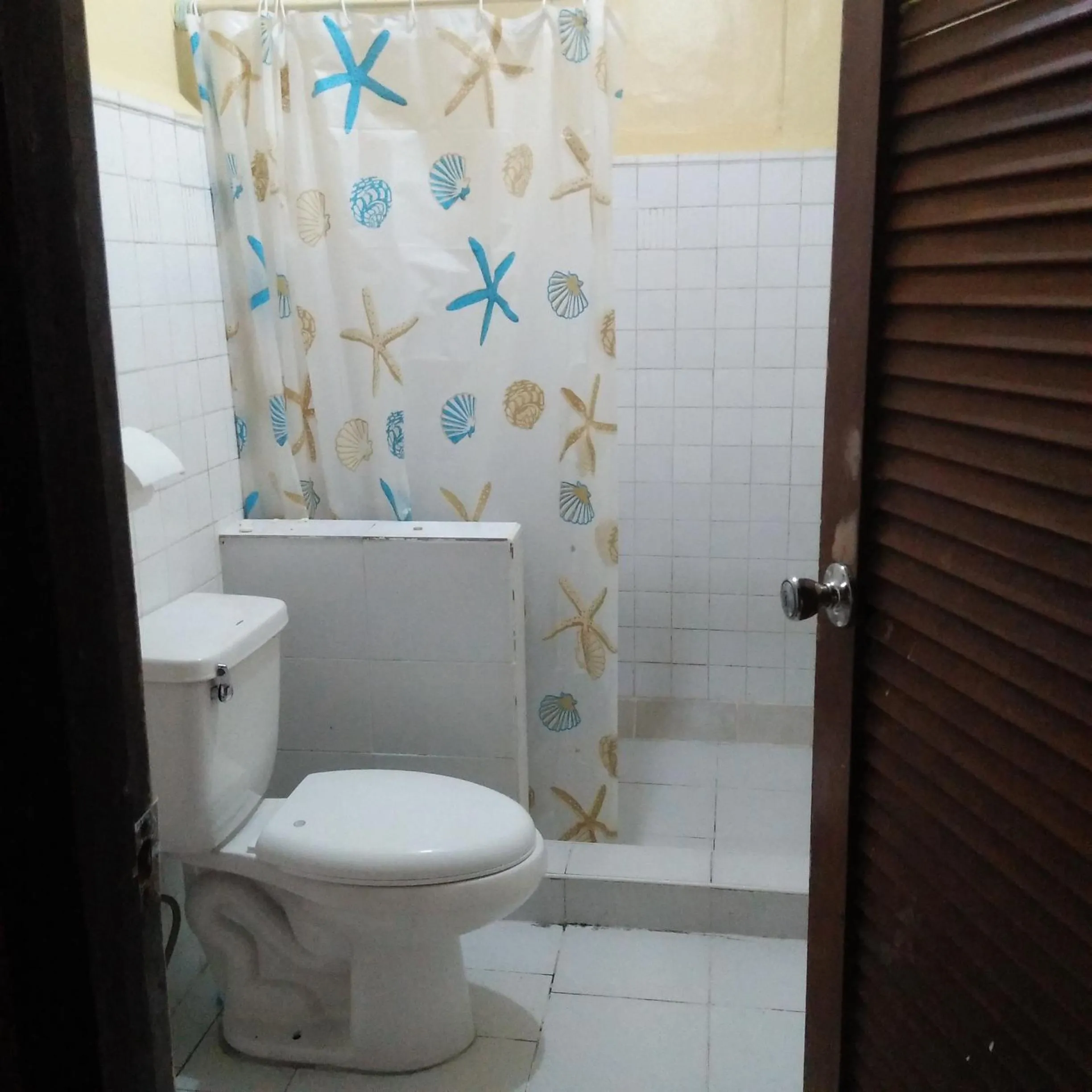 Shower in Cebu Pungko-pungko Hostel