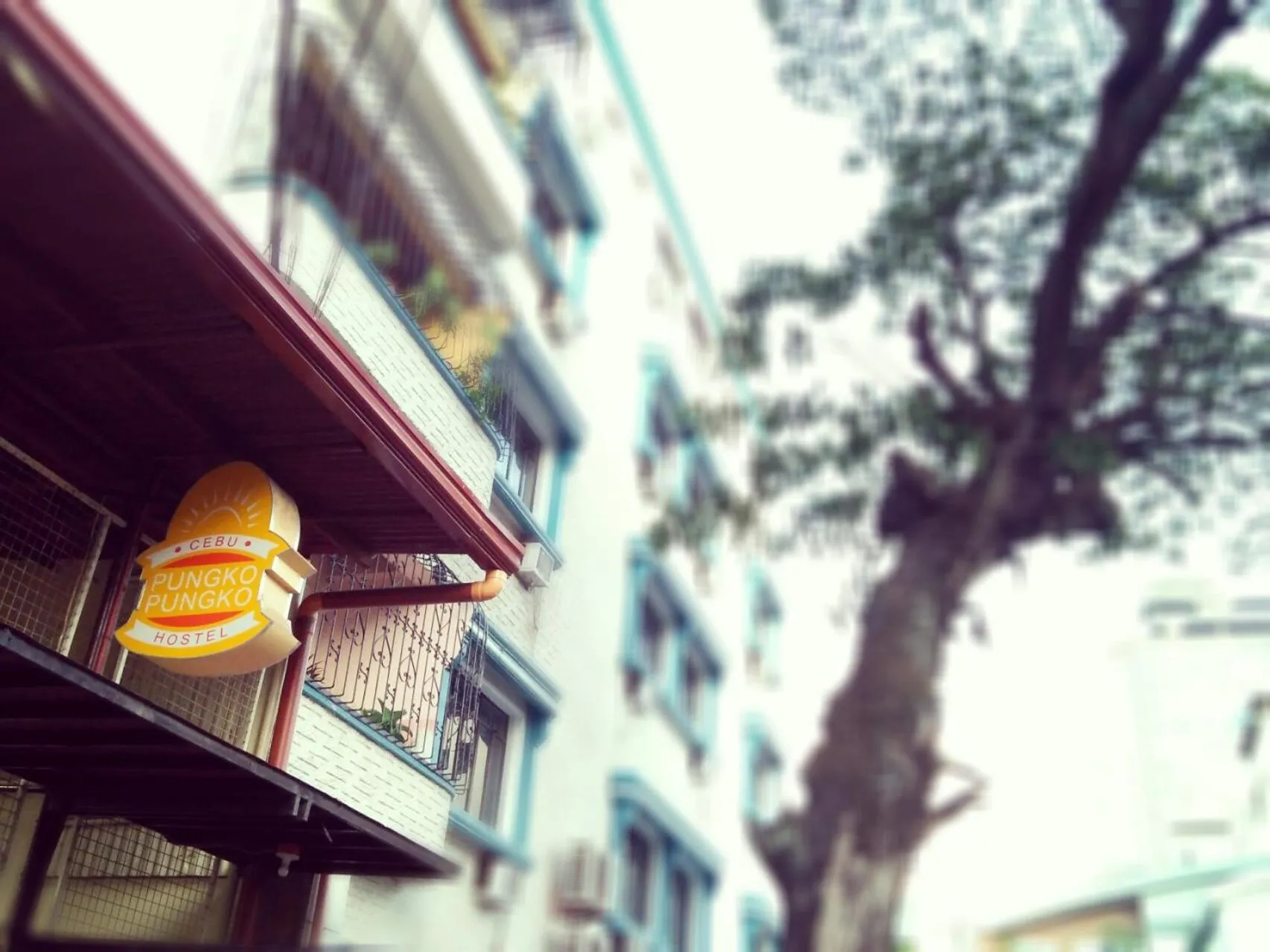 Facade/entrance in Cebu Pungko-pungko Hostel