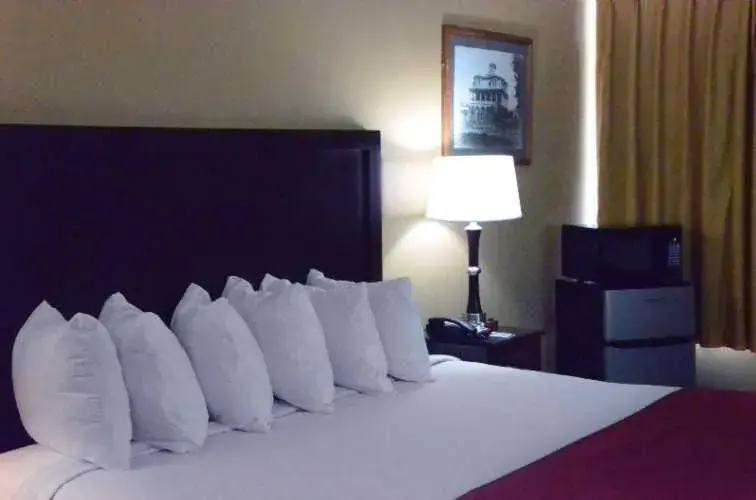 King Room - Non-Smoking in Carmel Inn and Suites Thibodaux King Room - Non-Smoking in Carmel Inn and Suites Thibodaux