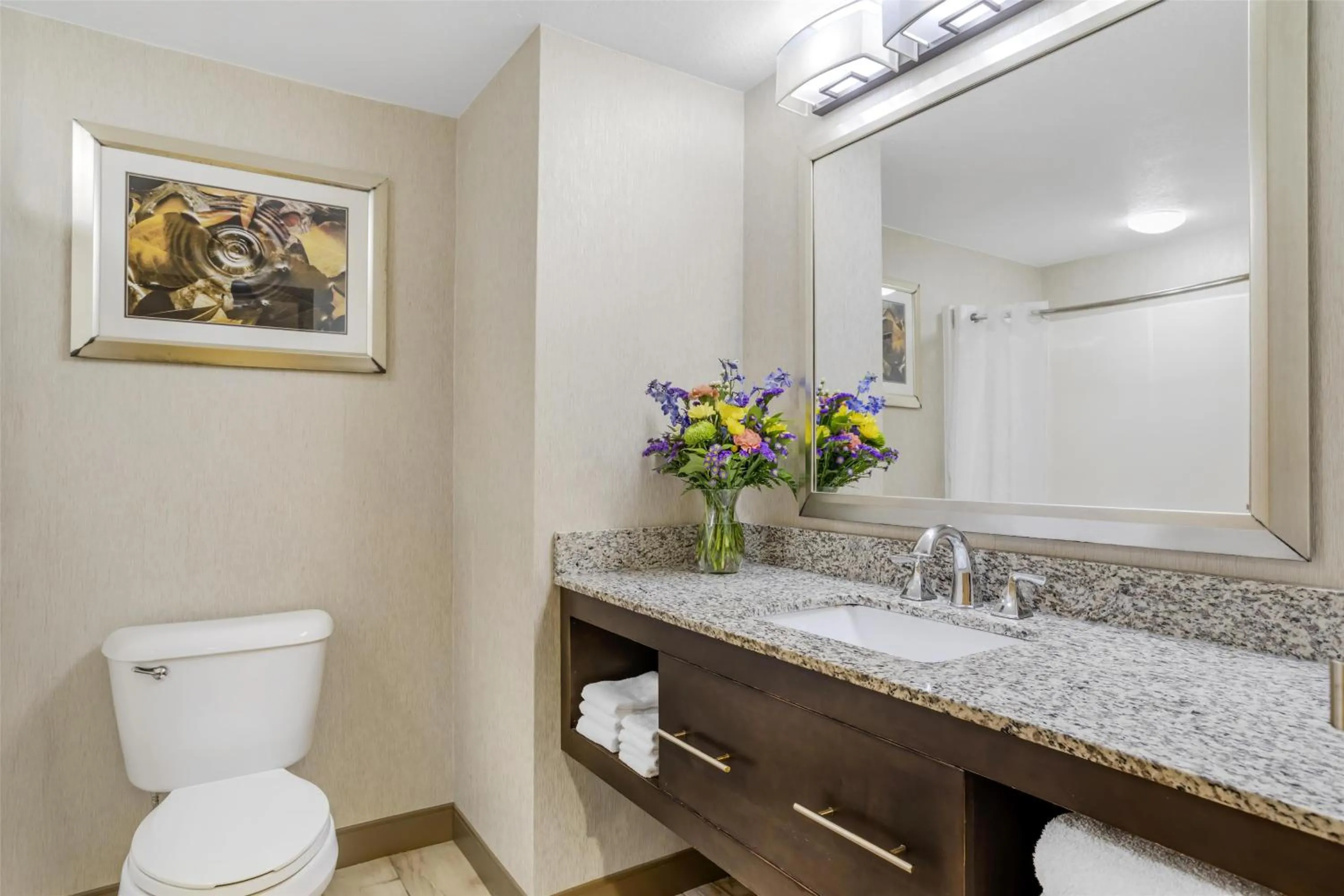 Bathroom in Best Western Plus River Escape Sylva / Dillsboro