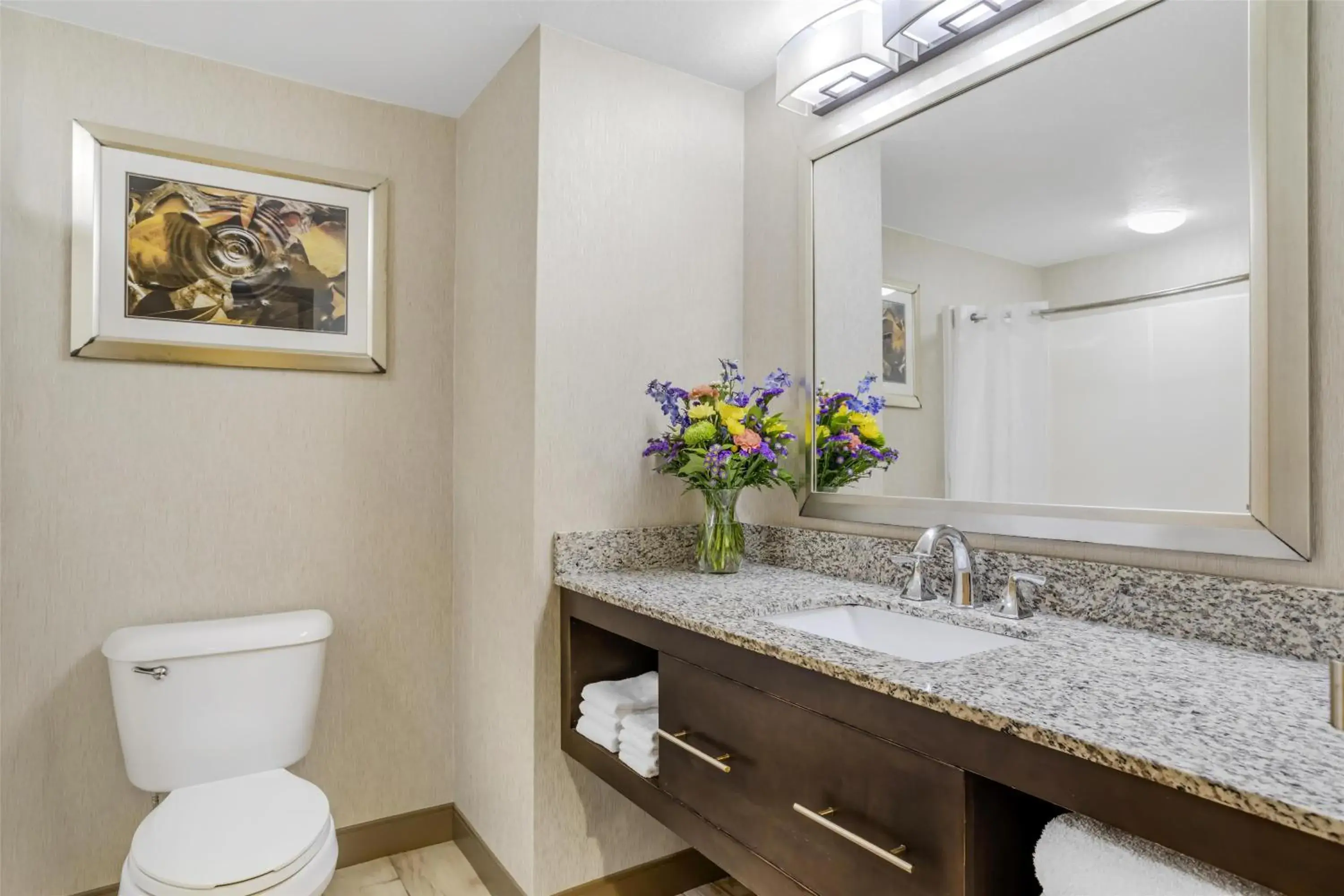 Bathroom in Best Western Plus River Escape Sylva / Dillsboro Bathroom in Best Western Plus River Escape Sylva / Dillsboro