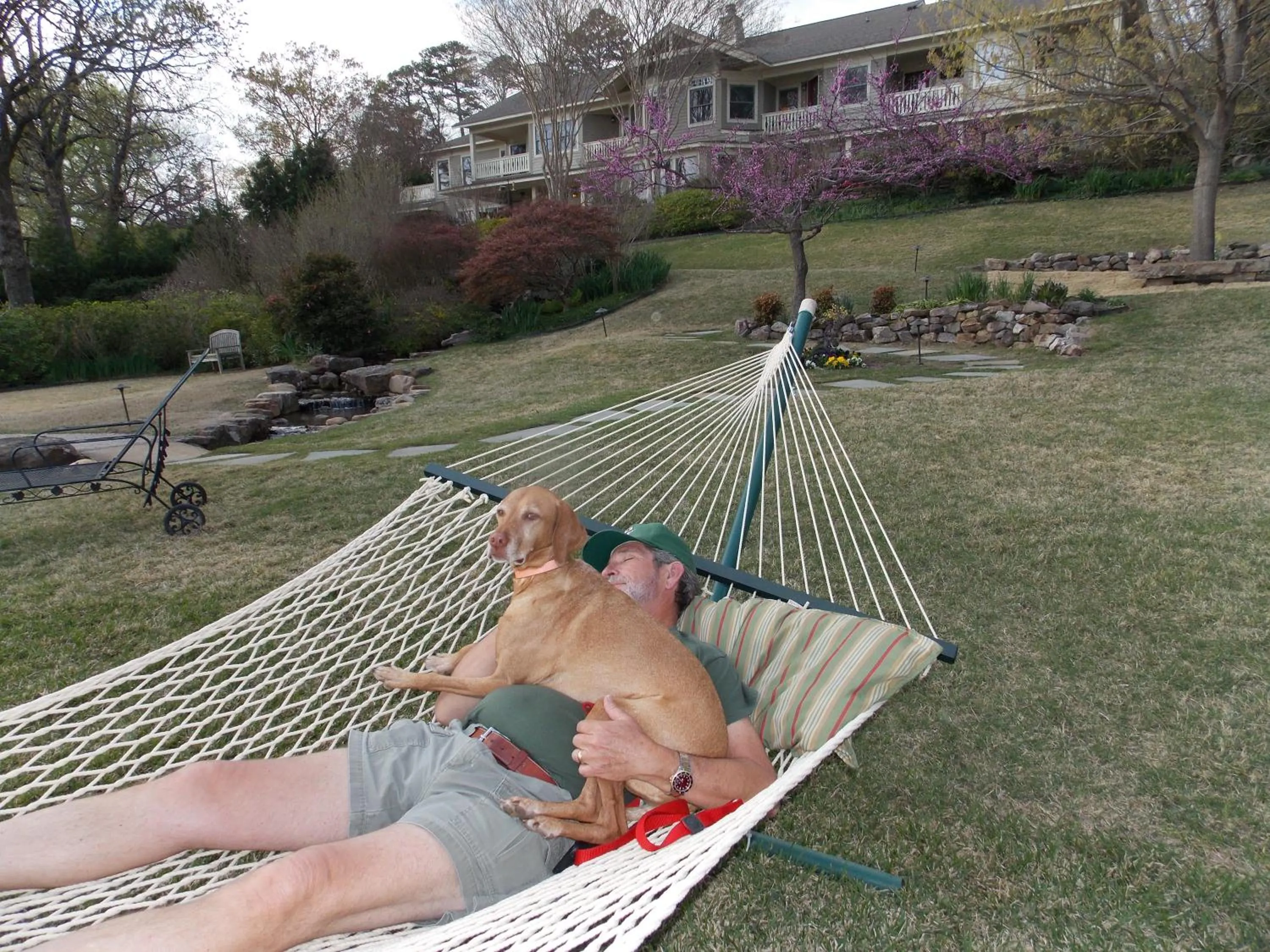 Pets in Lookout Point Lakeside Inn