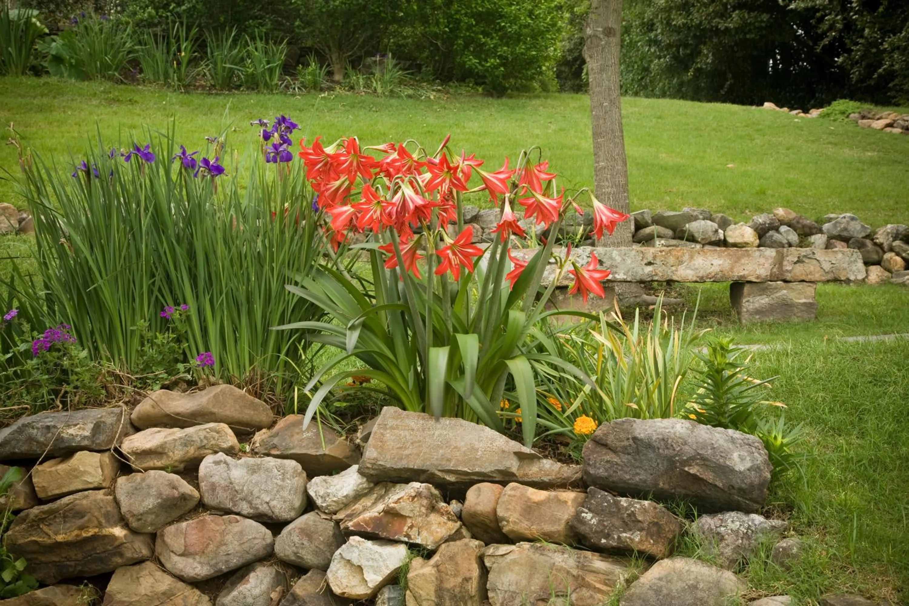 Garden view in Lookout Point Lakeside Inn