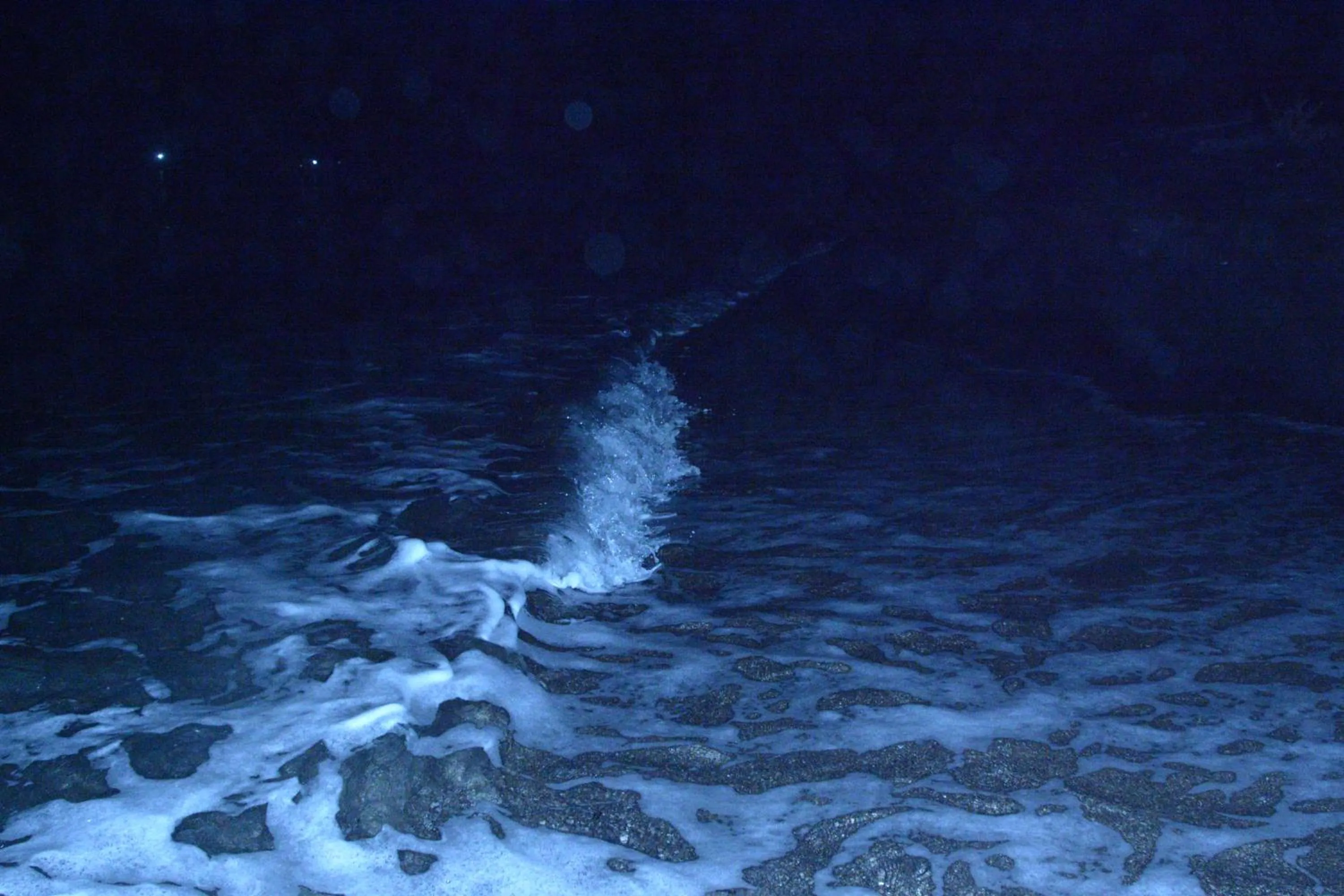 Sunset Springs Beach Retreat