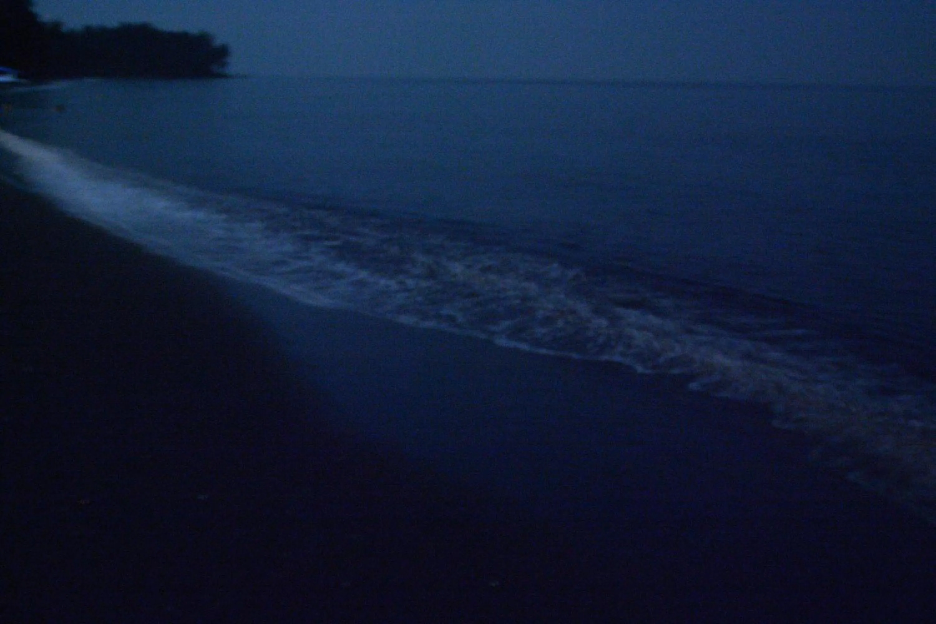 Sunset Springs Beach Retreat