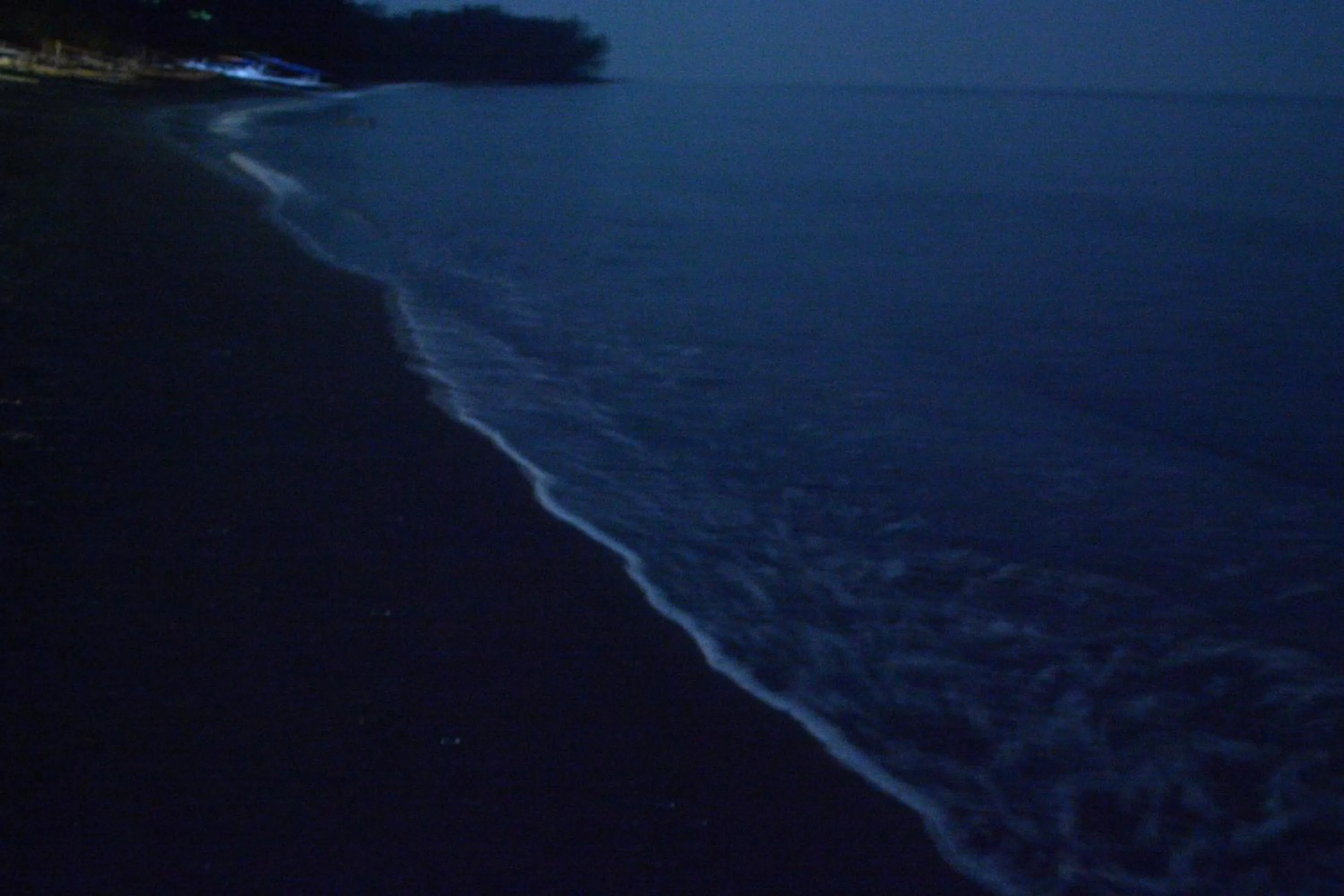 Sunset Springs Beach Retreat